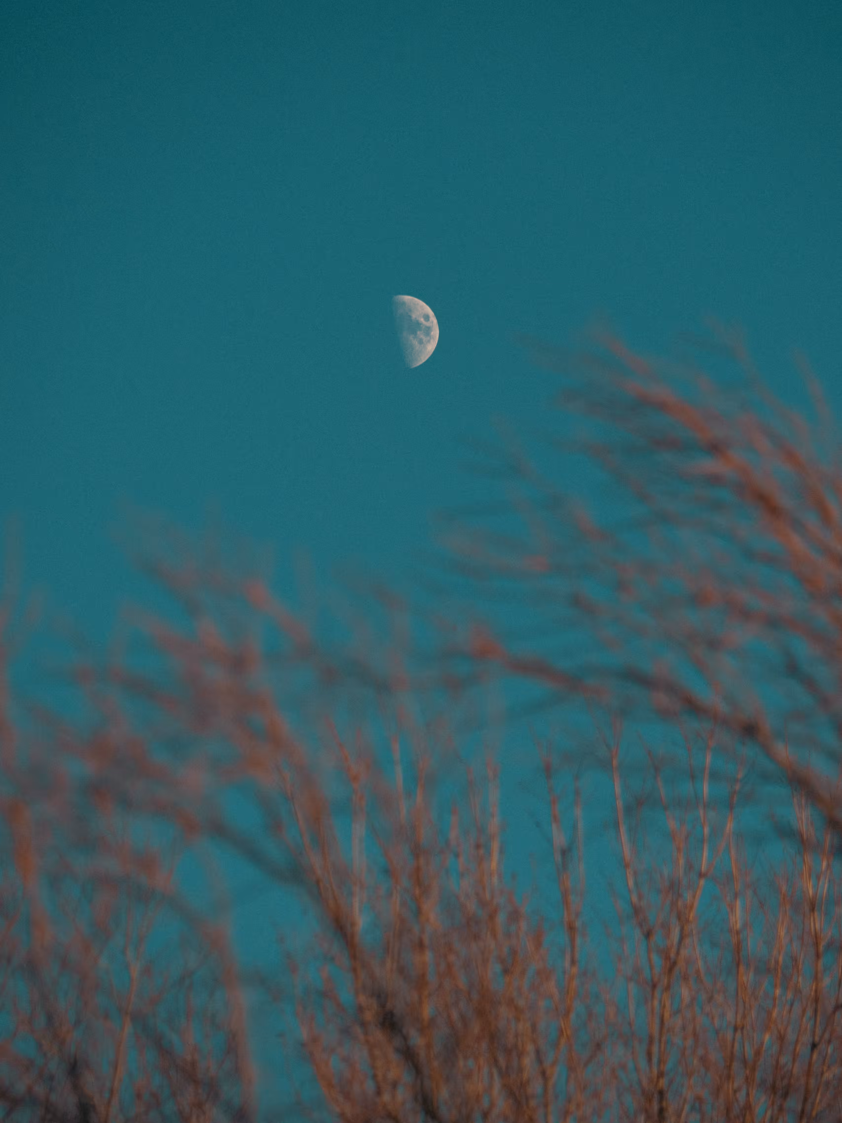 Flaming Moon