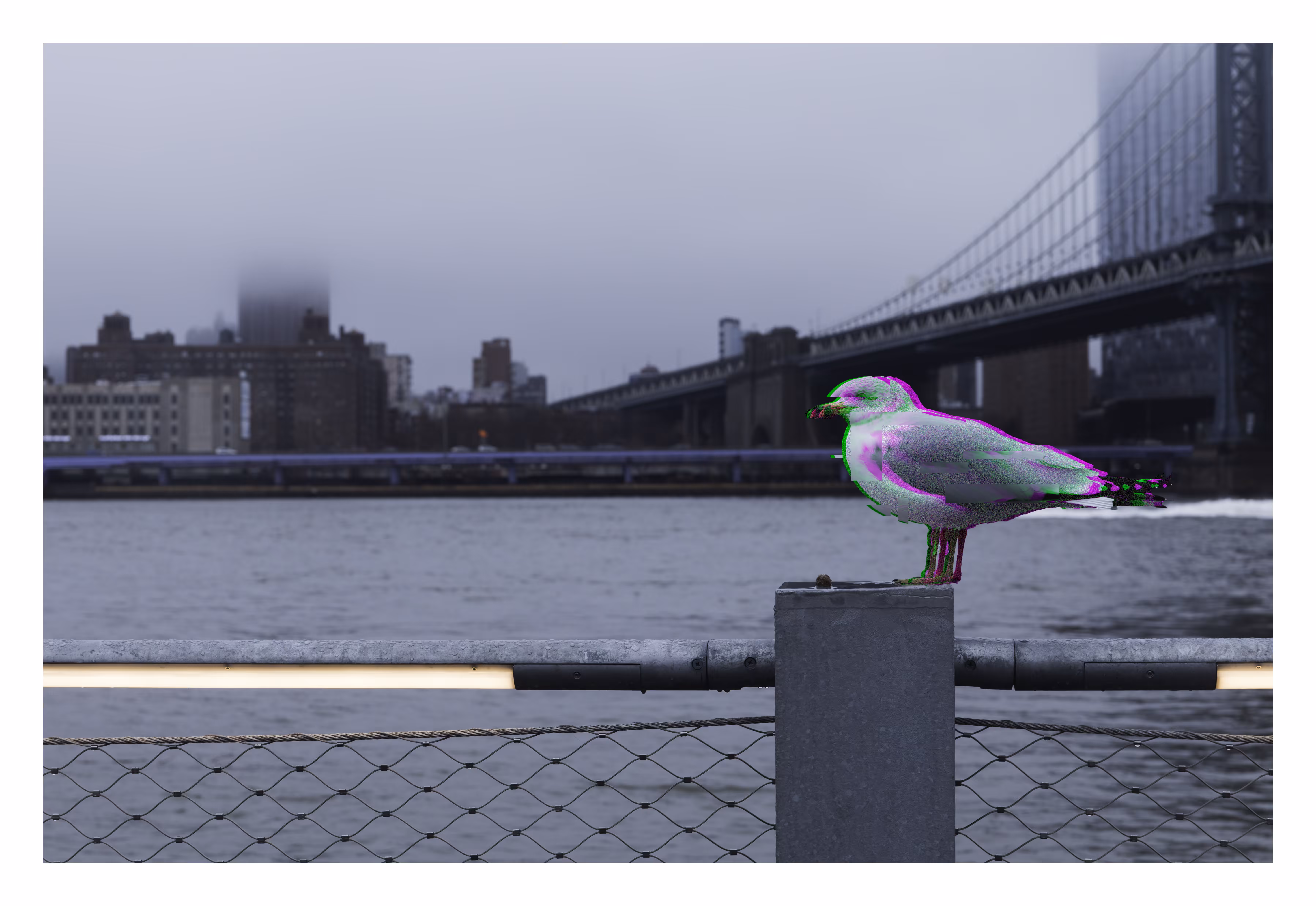 Out of Focus