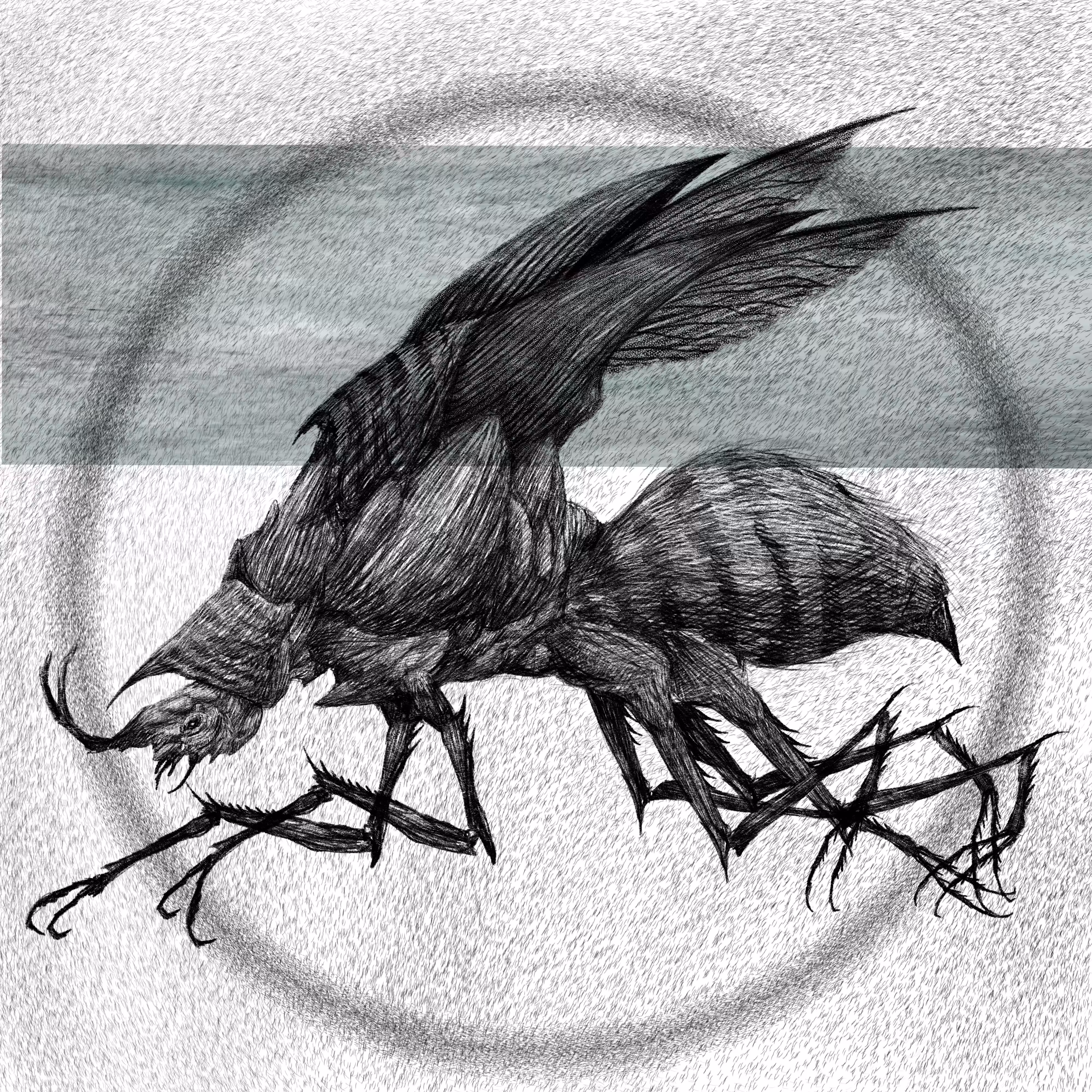 RHINOCEROS BEETLE