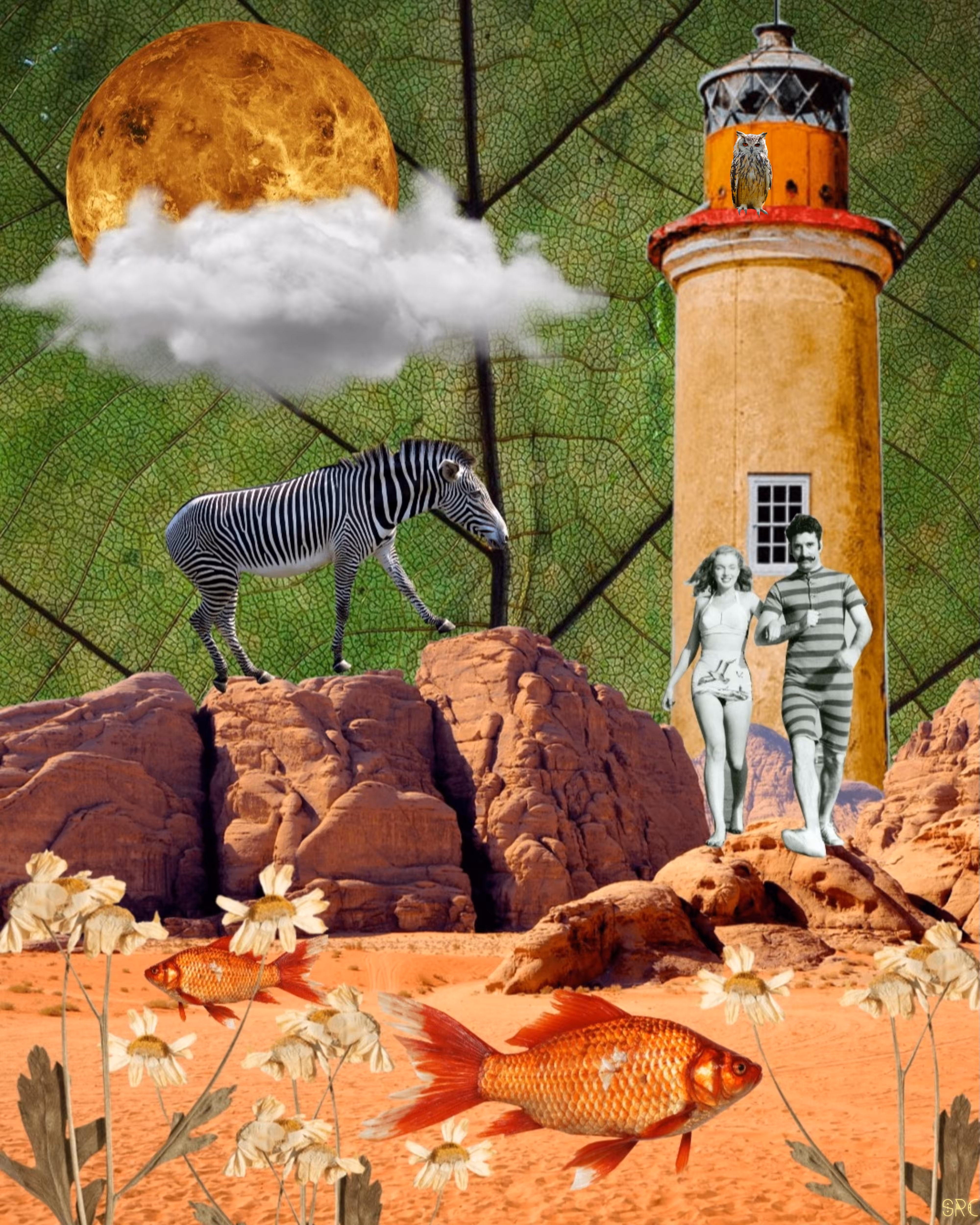 Desert Swimmers