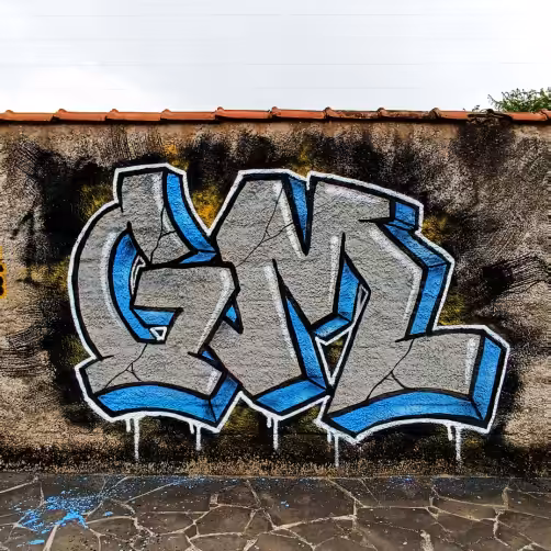 GM #10