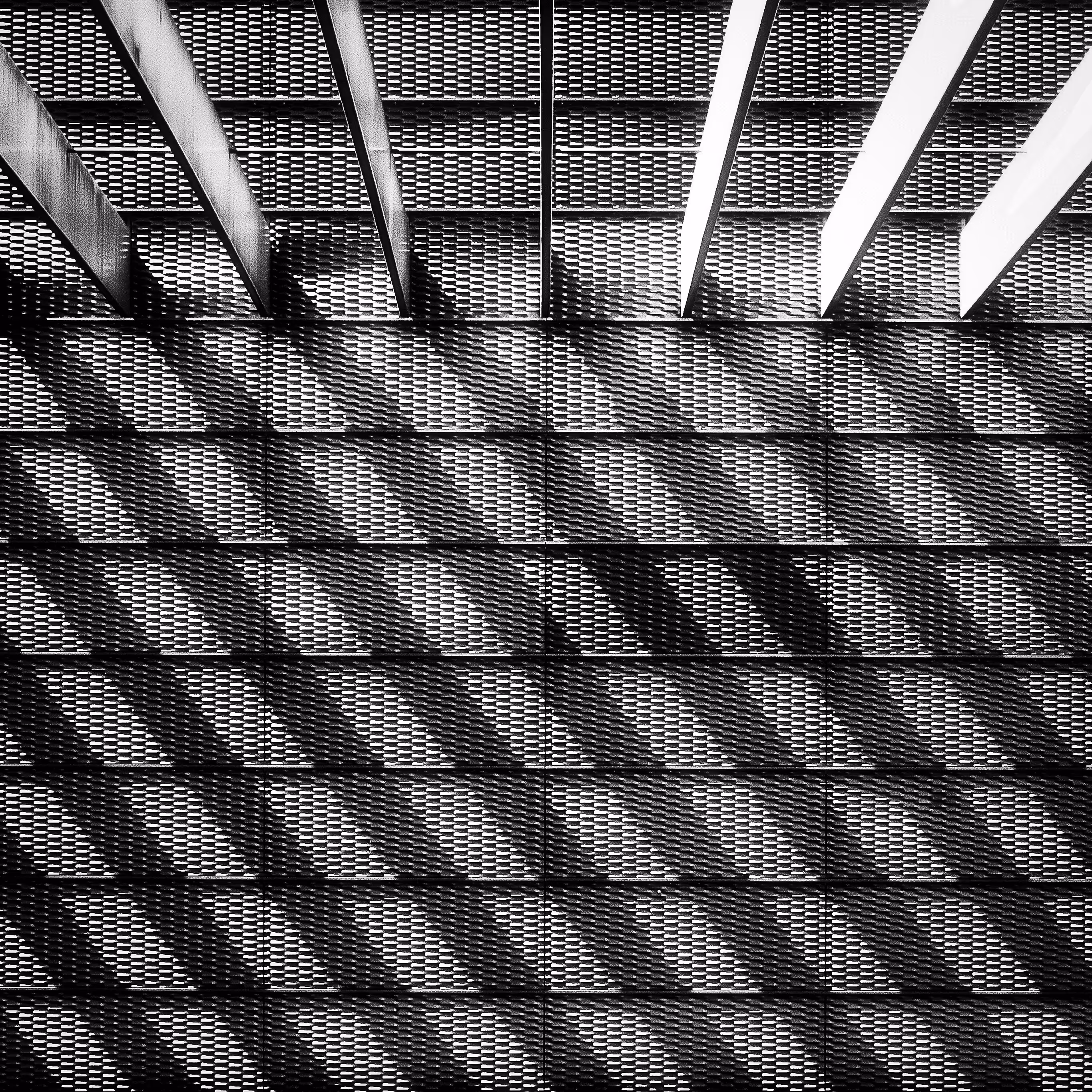 light and shadow