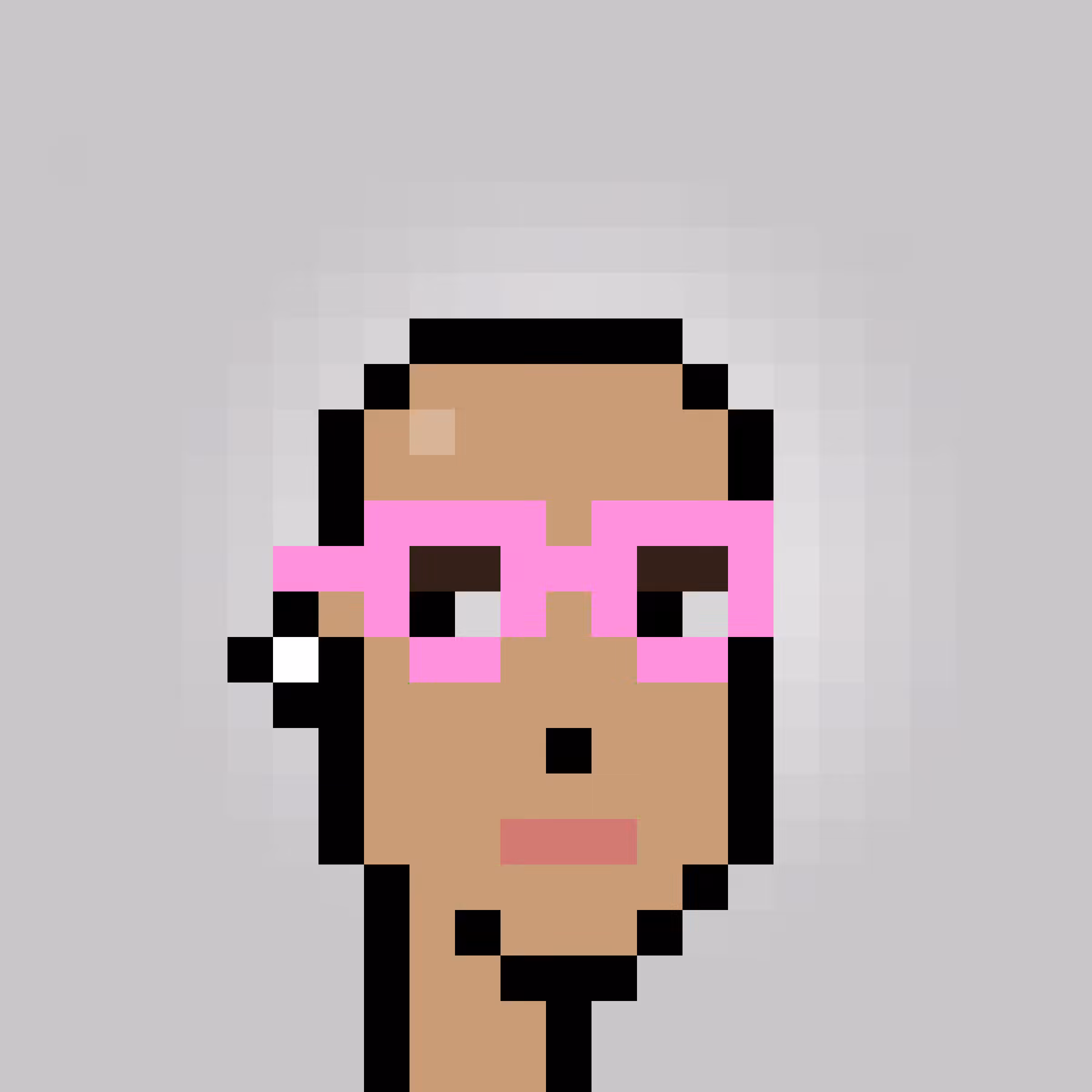 Unofficial Punks V2 #1073