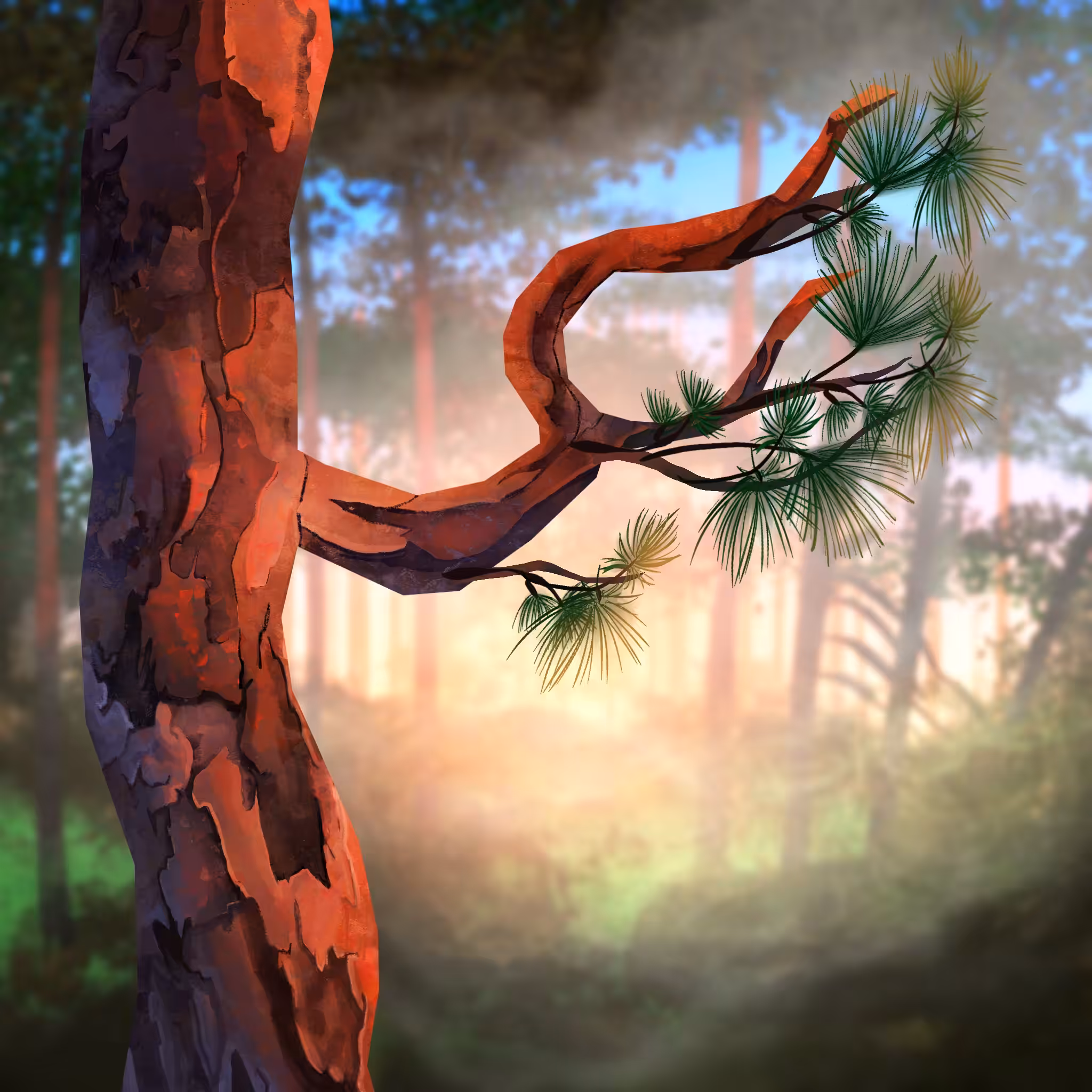 Forest