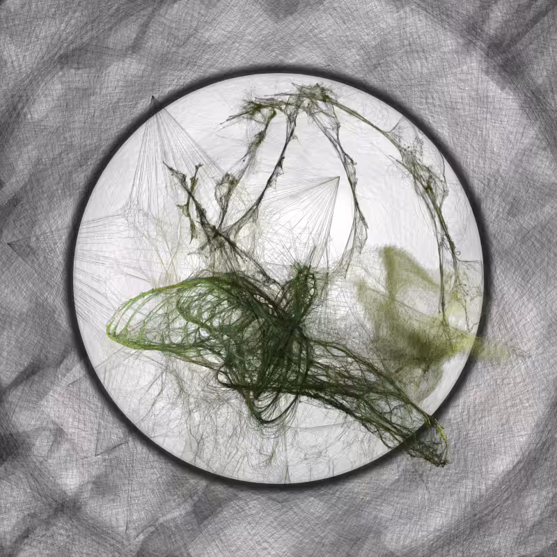 Herbarium Invaders #206
