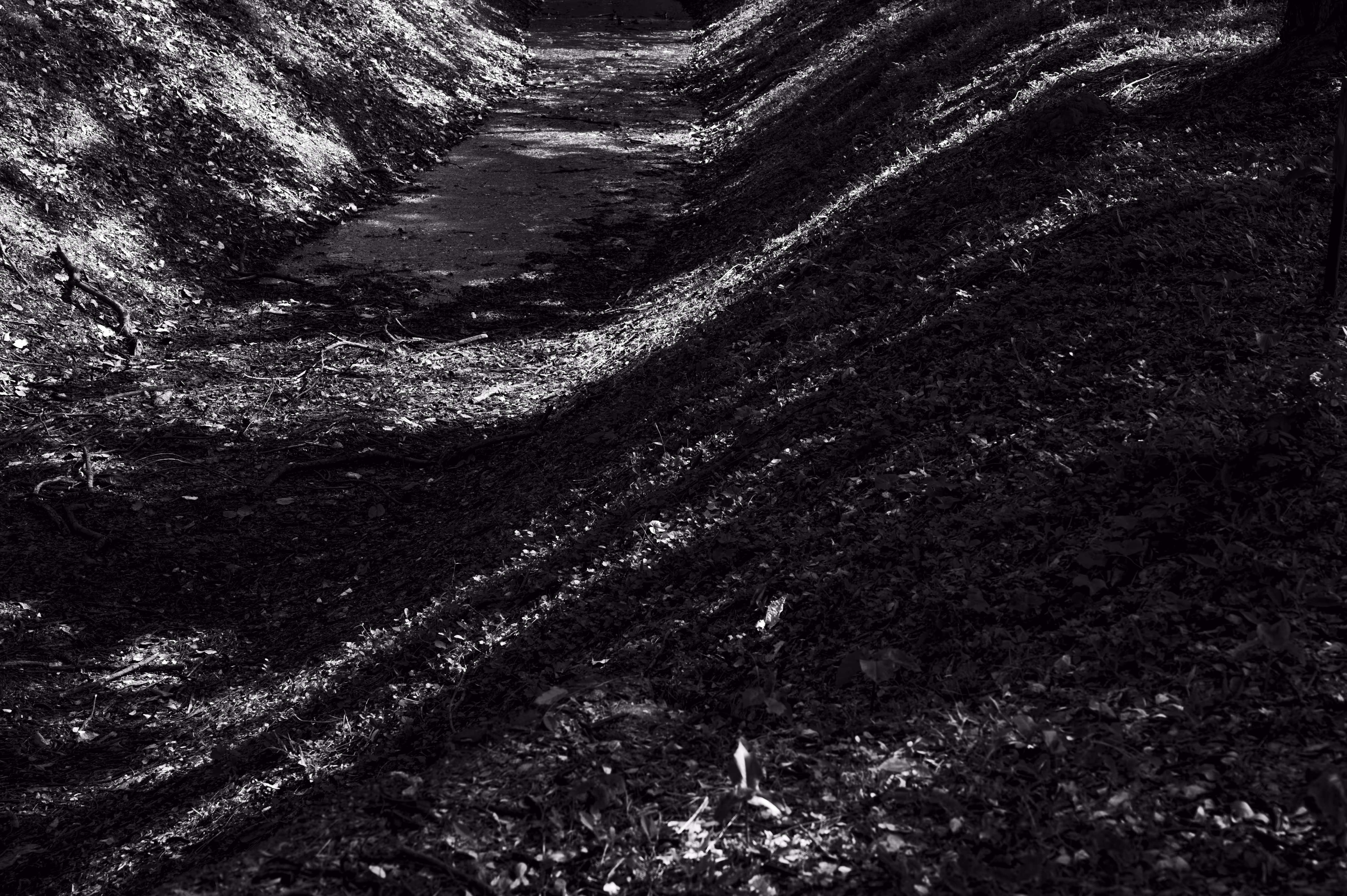 Fleeting 05