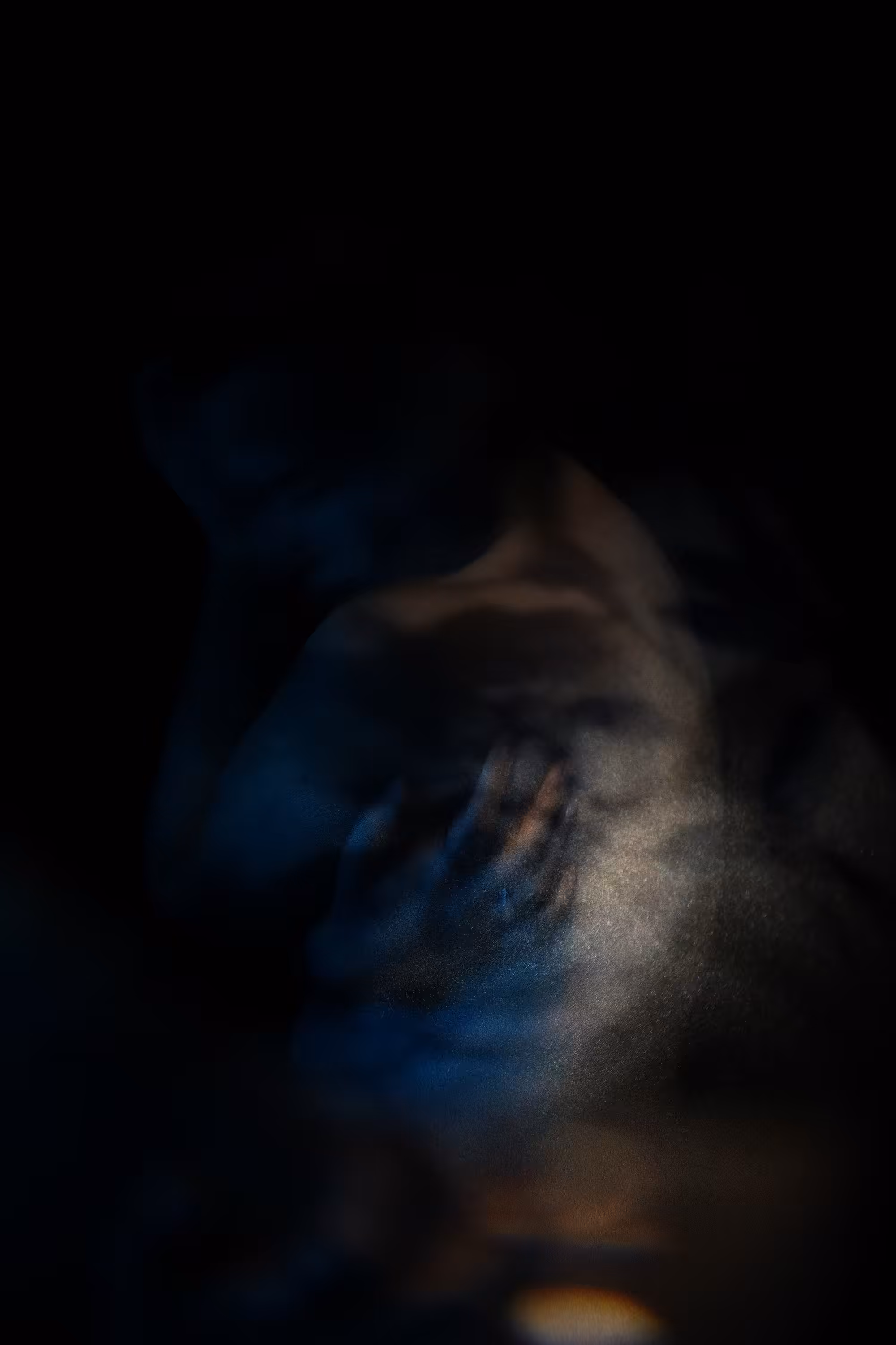 Hidden