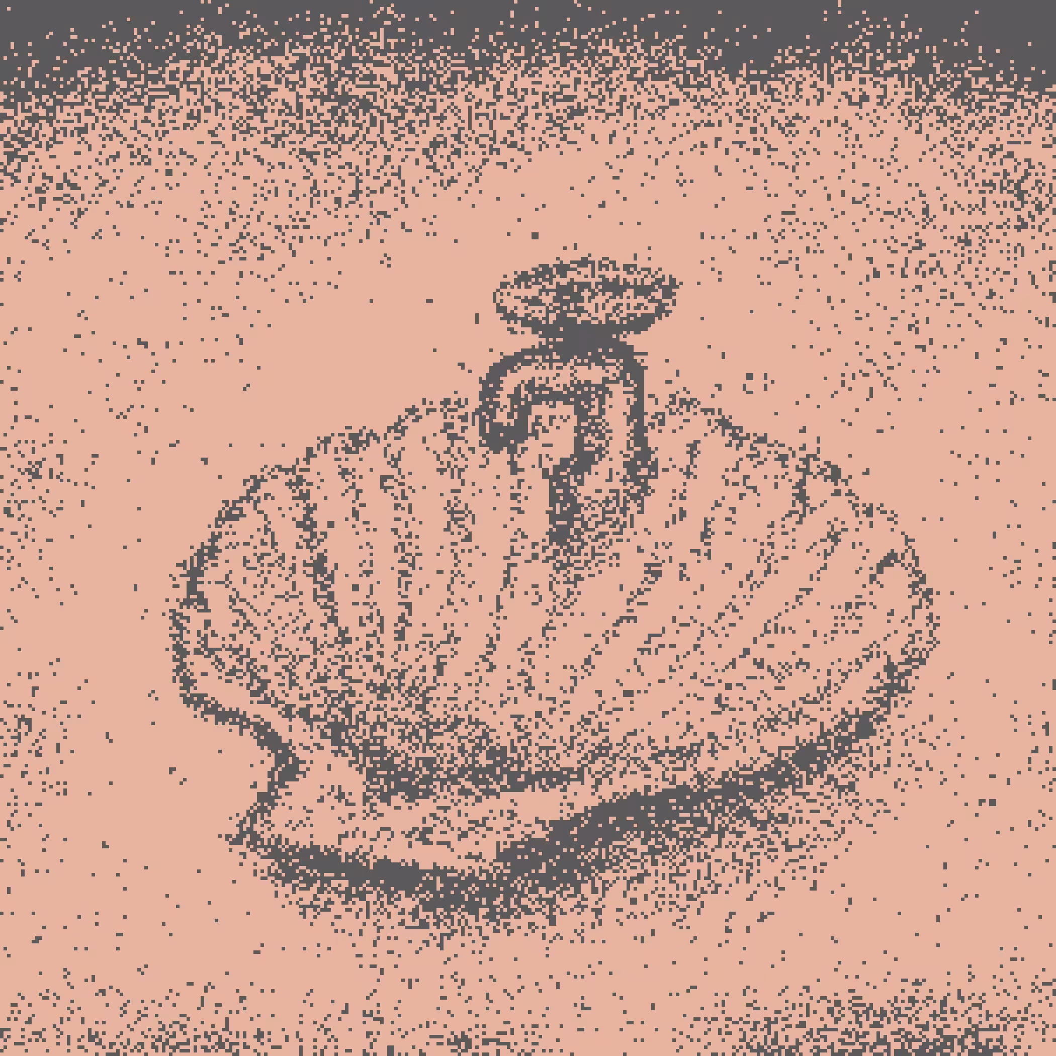 Shell Sink