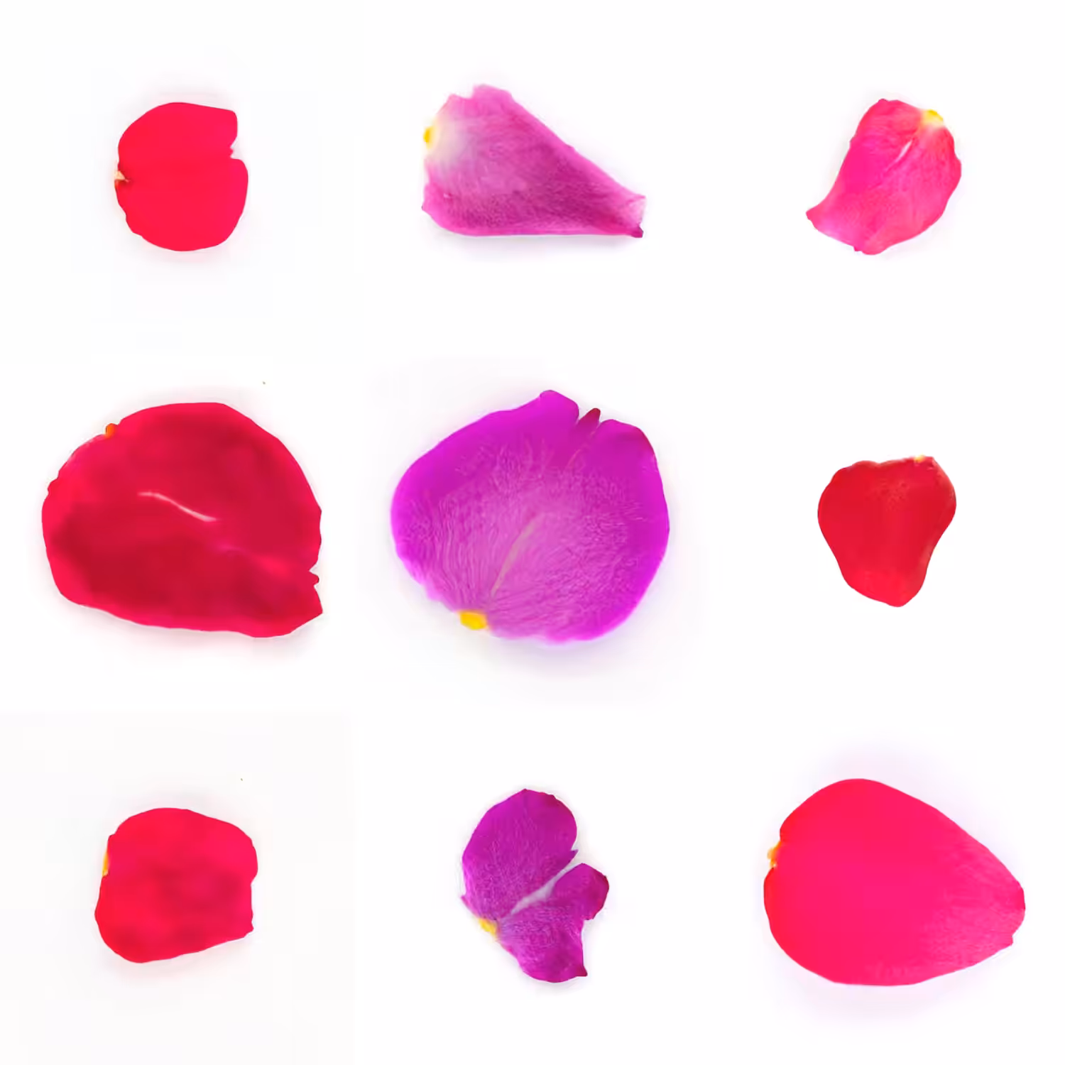 Infinite Petals 3x3#20190
