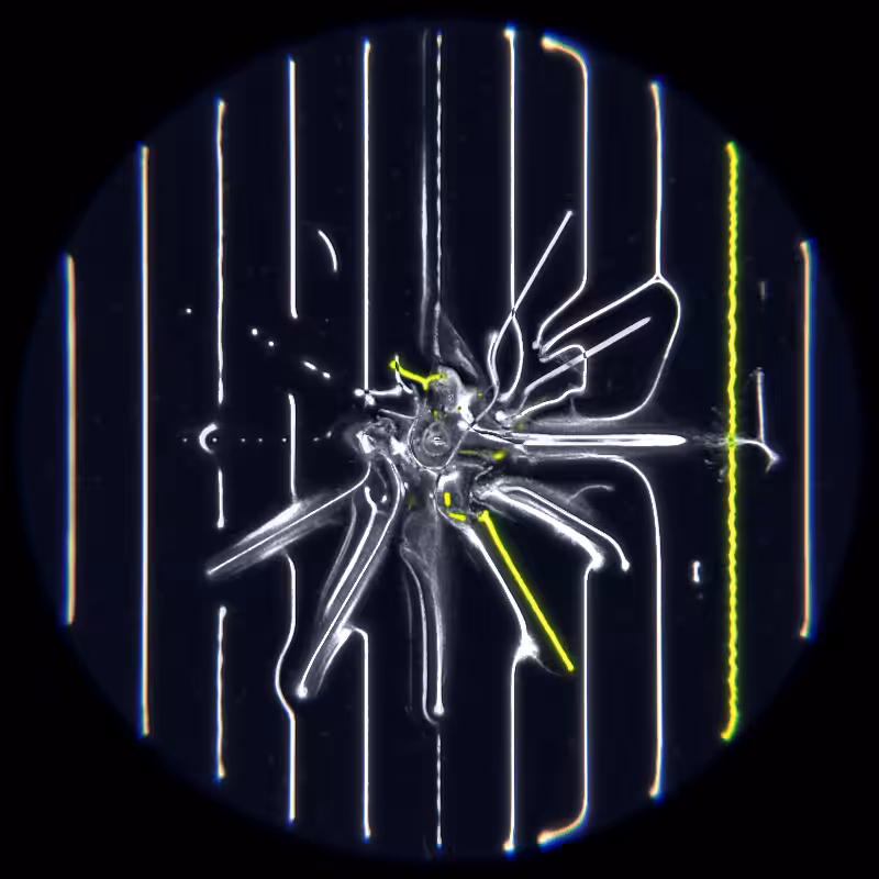 Ethereal Microcosm #46
