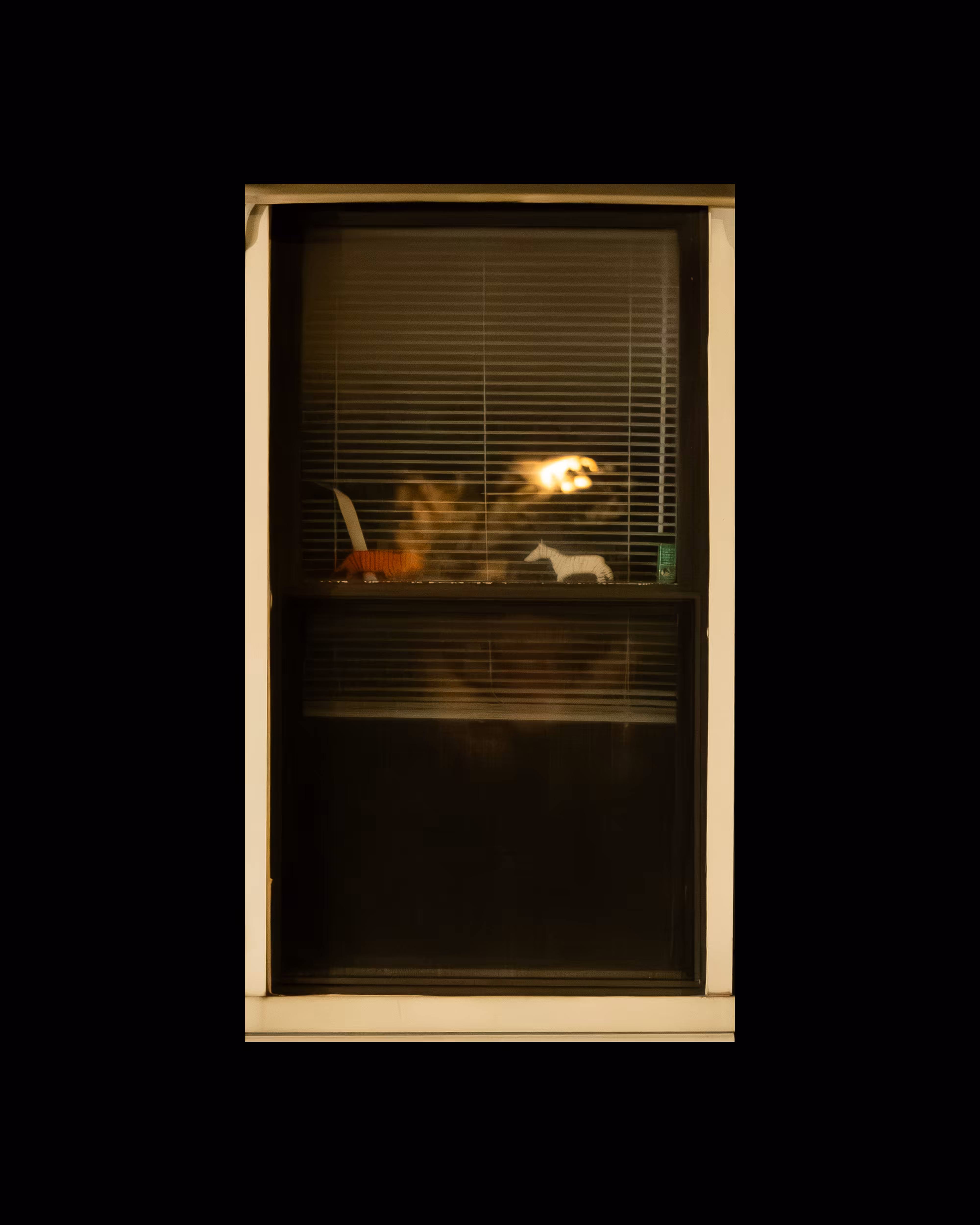 WINDOWS // NYC: WINDOW 190