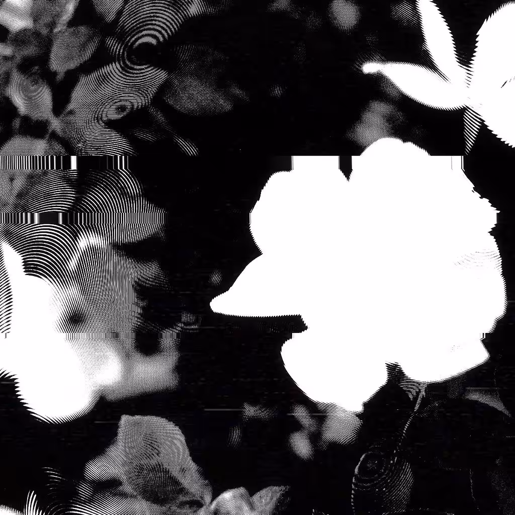 DaTAnoFOUnd