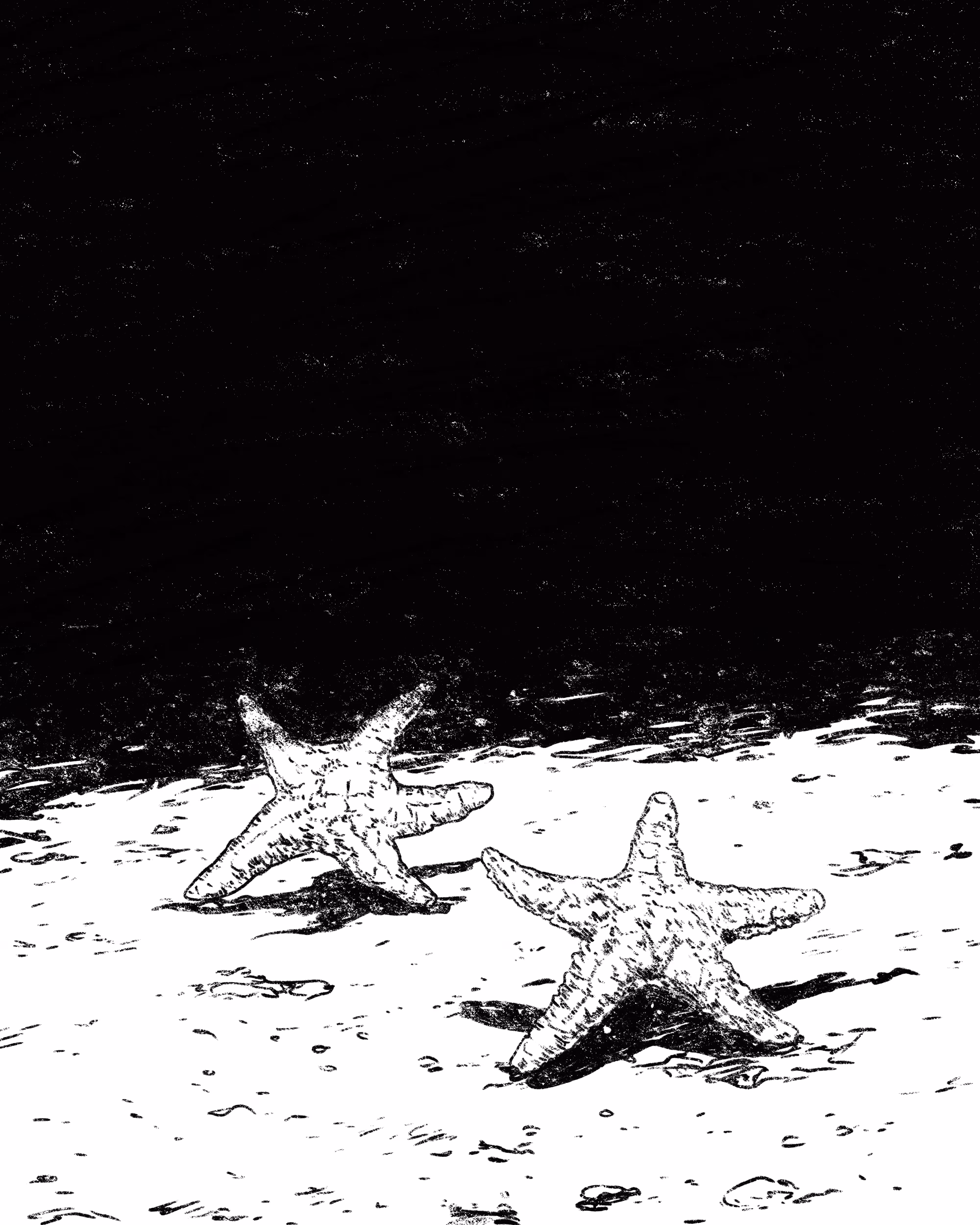 Starfish - Day 7