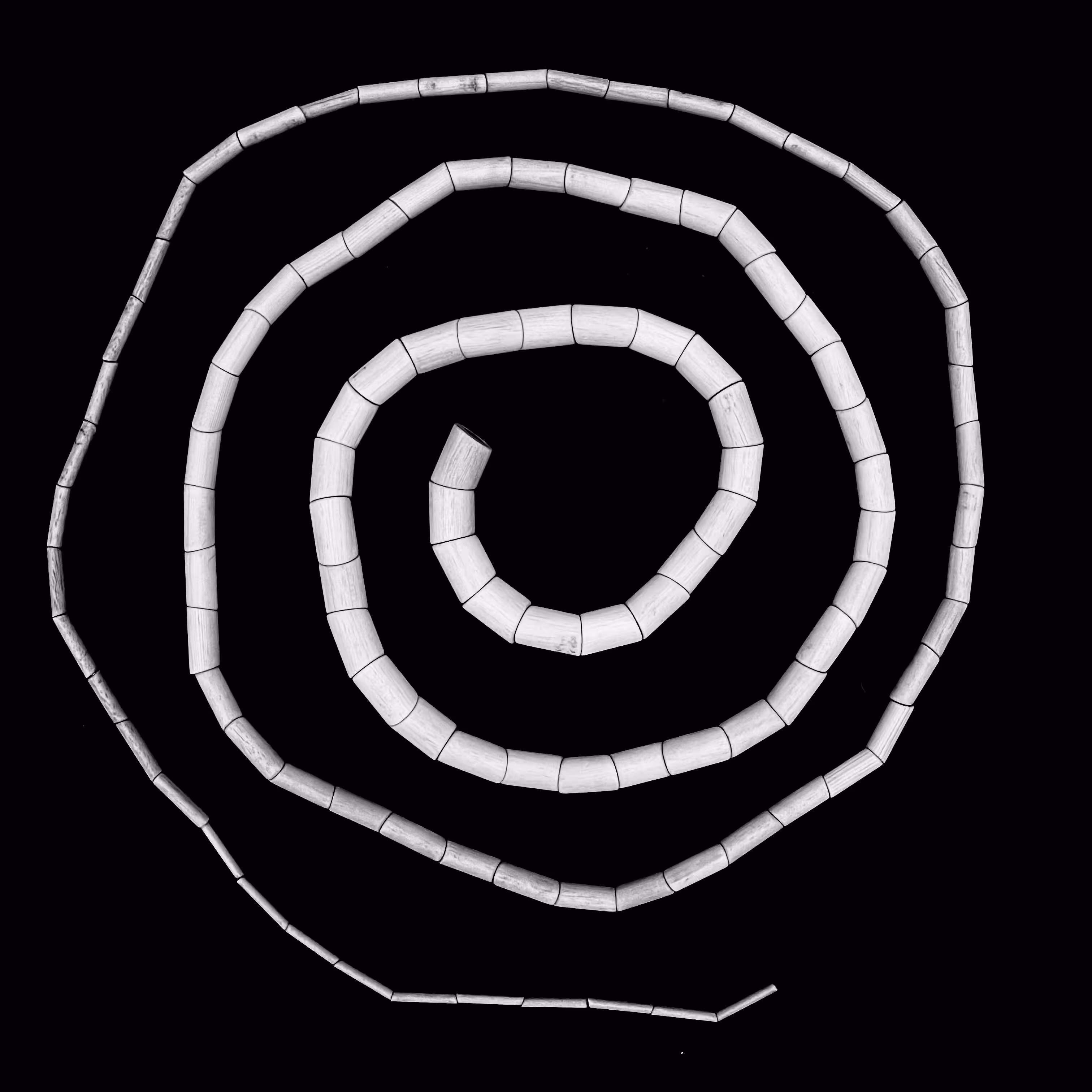 spiral b&w