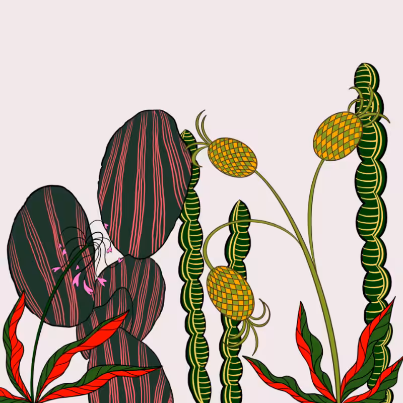 Desert Exuberance #12