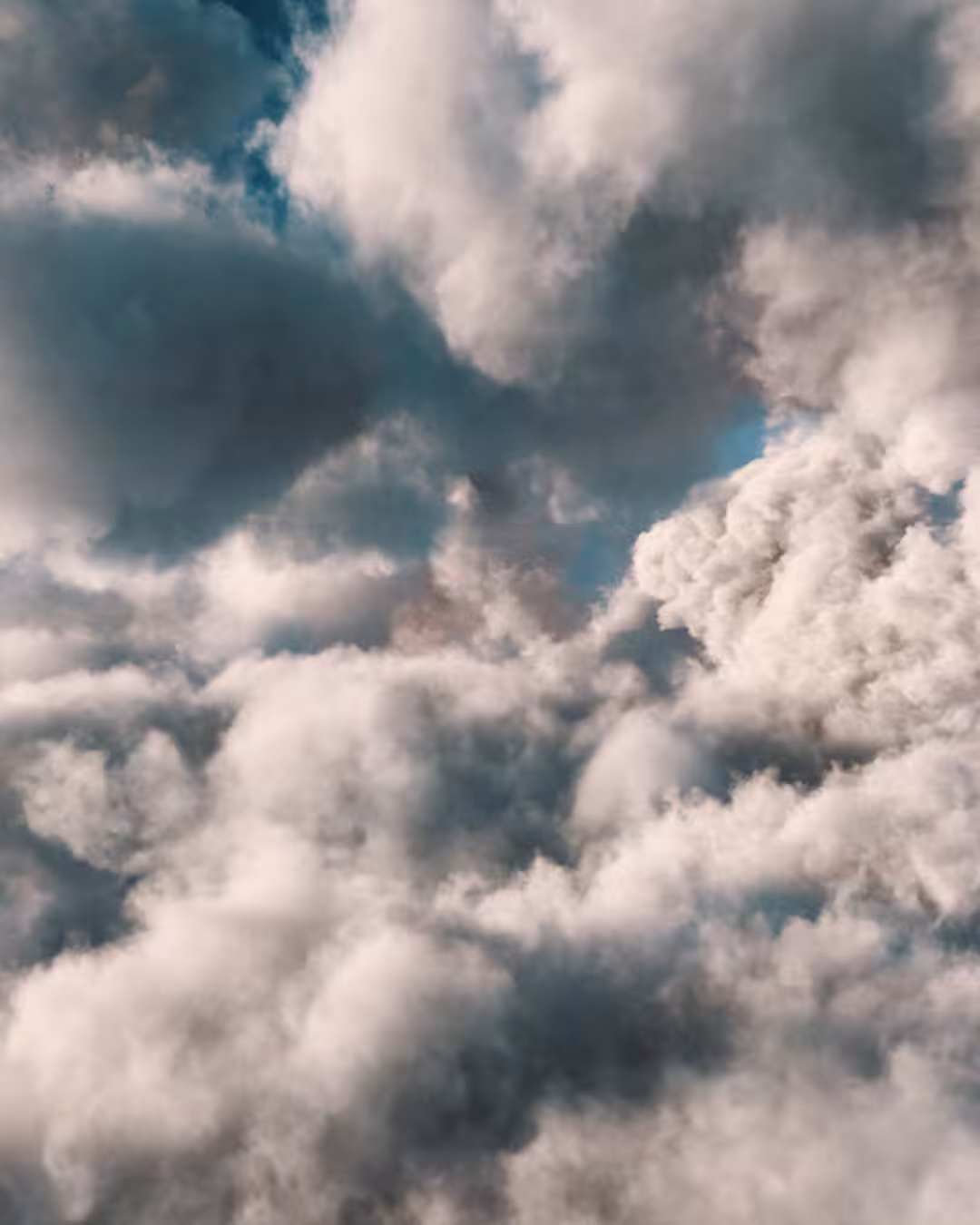 The Peace is above