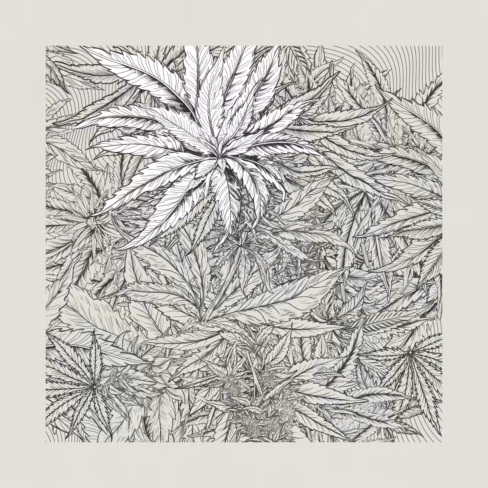 zancannabis #376