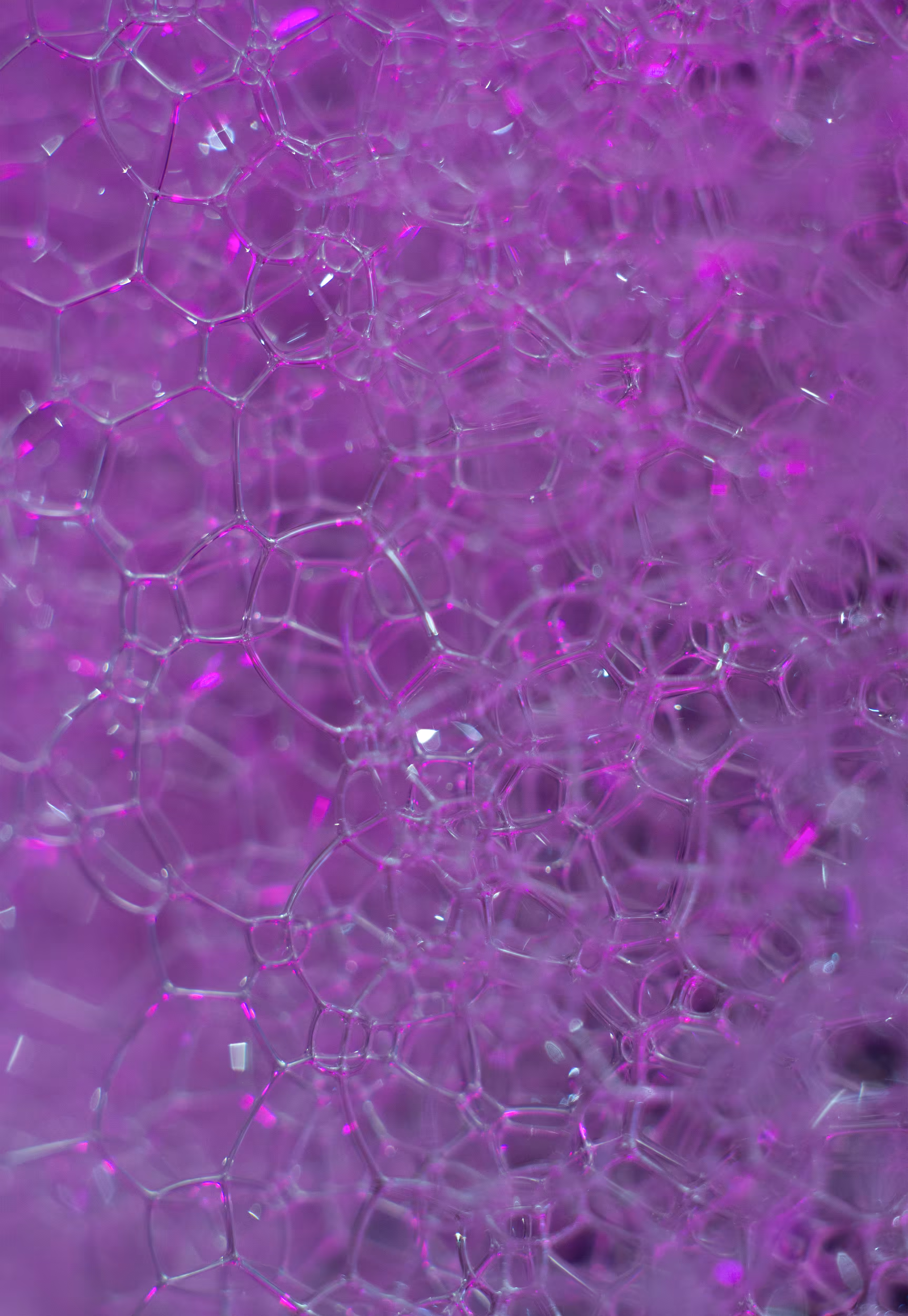 #80 Bubbles