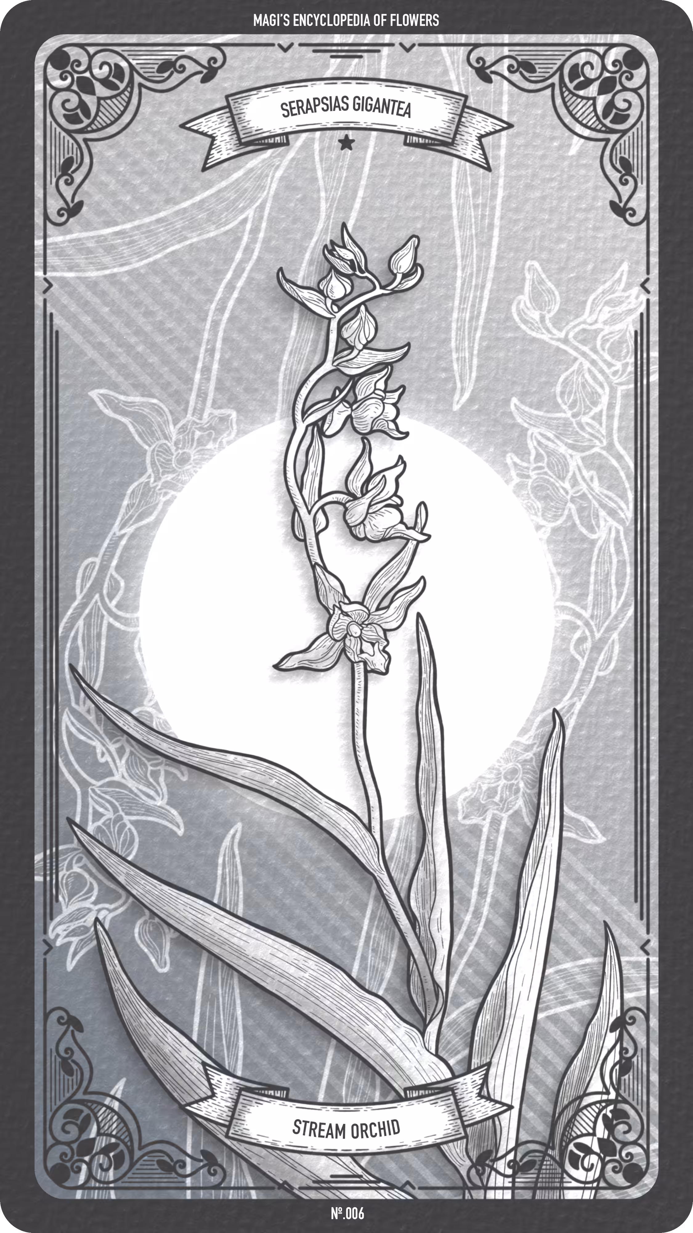 006 Stream Orchid