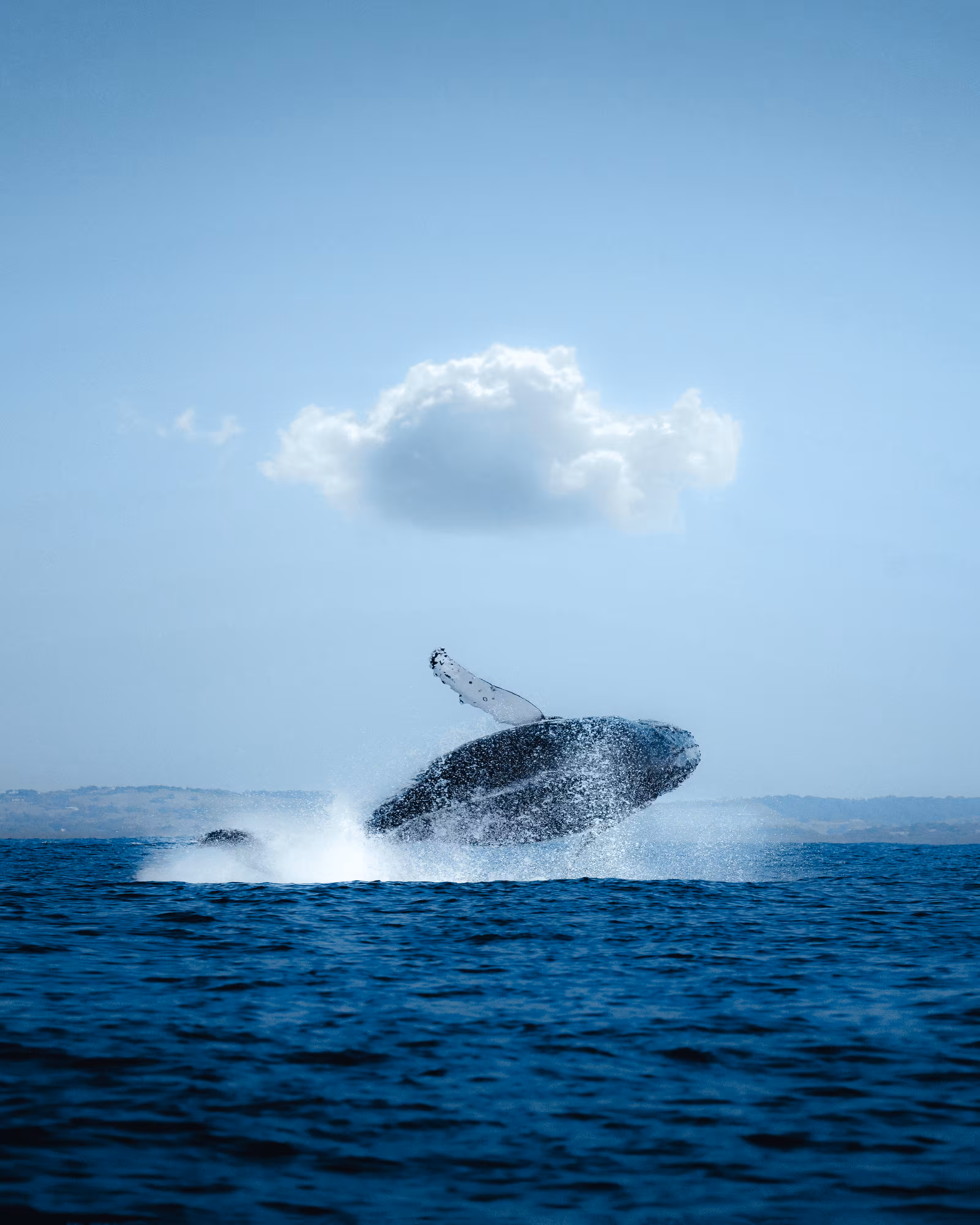 "Into The Blue" #5