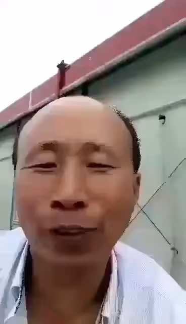 非同质化傻逼