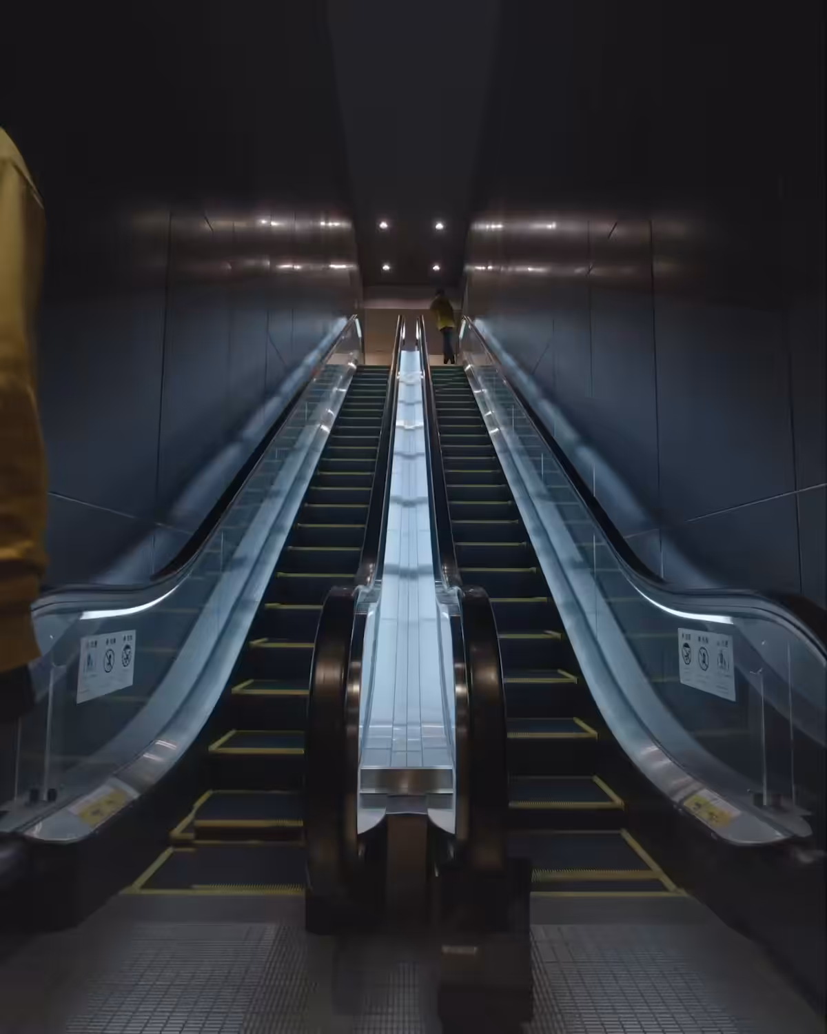 THE ESCALATOR.