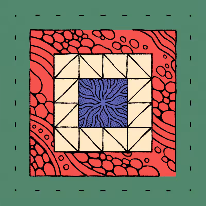 borders #392