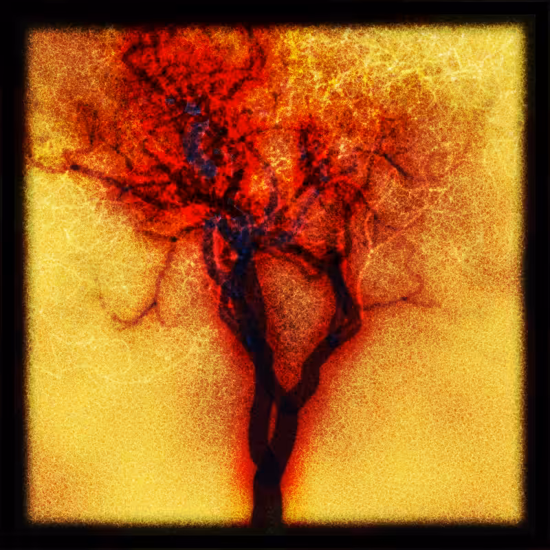 Arboreal #3