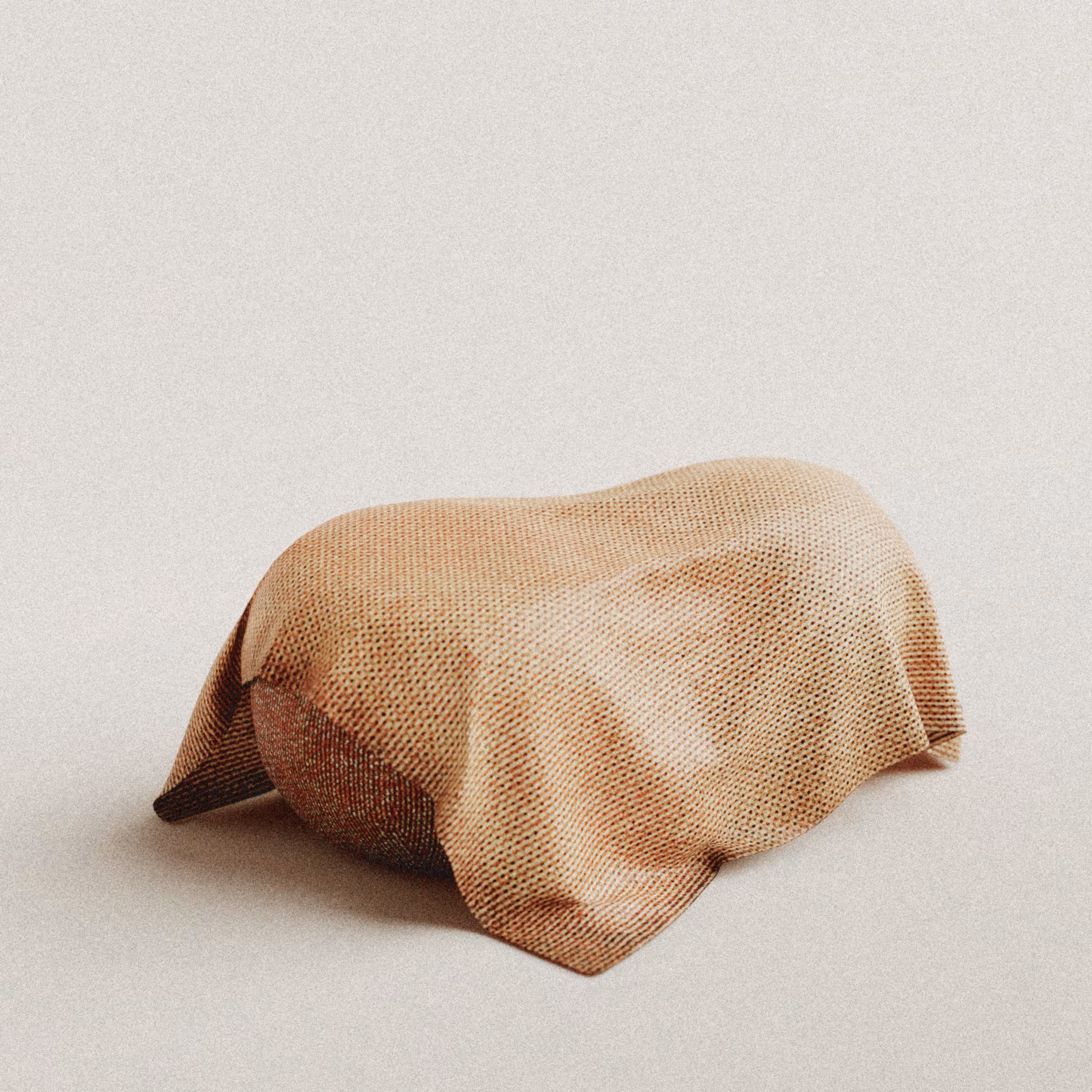 #17 - Veiled Still Life