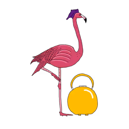 Felicty the Flamingo