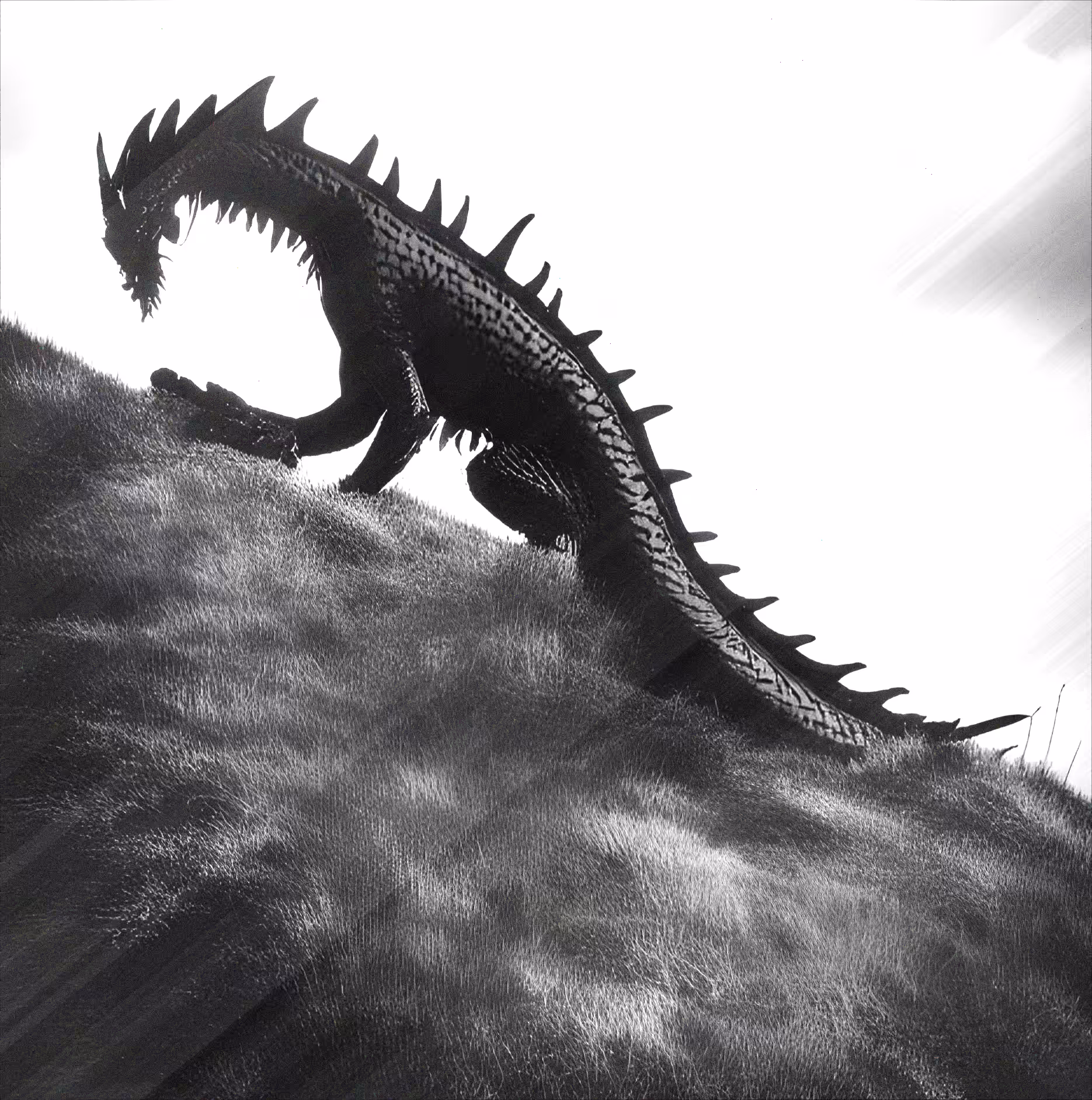 004