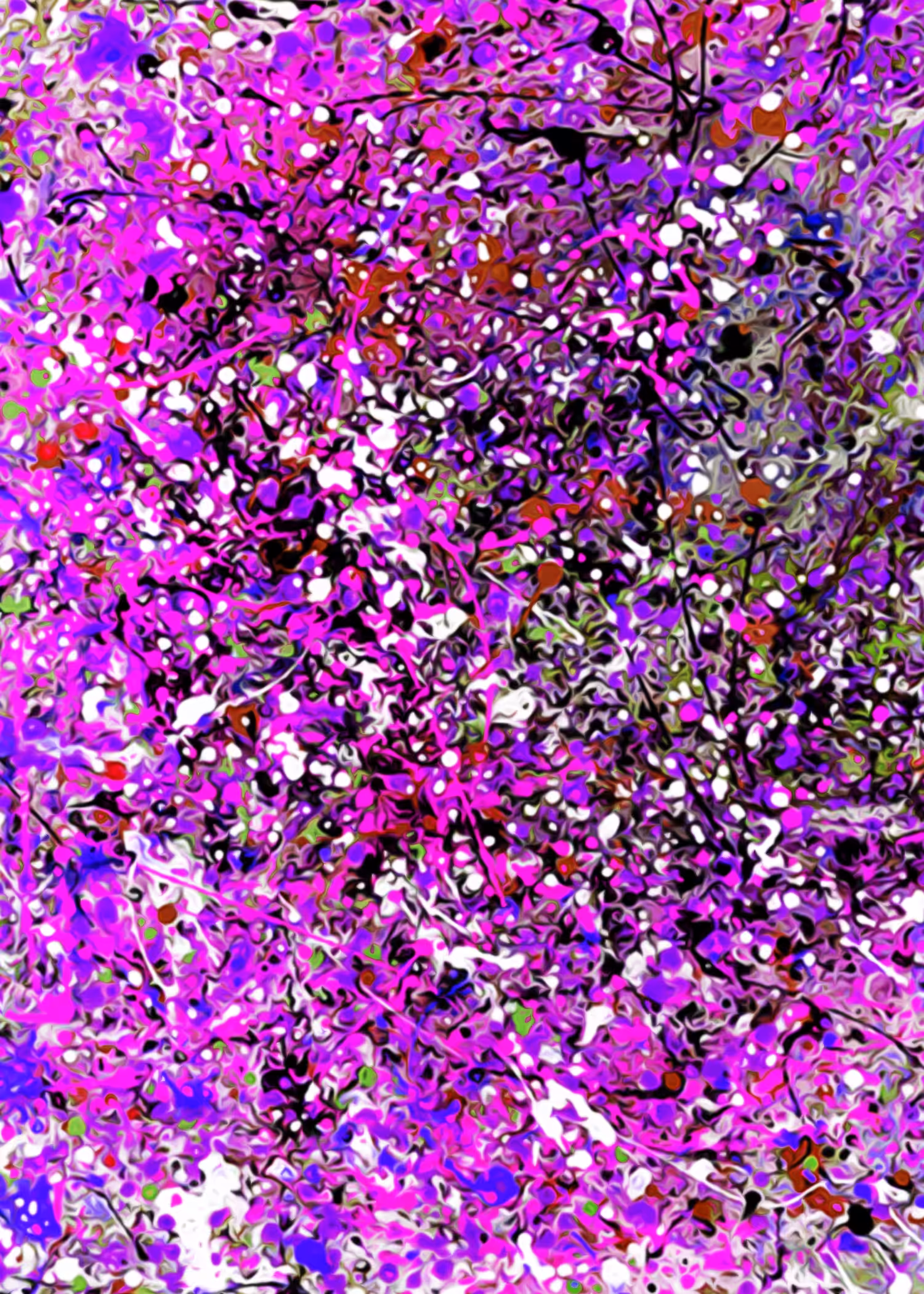 Cherry Blossom