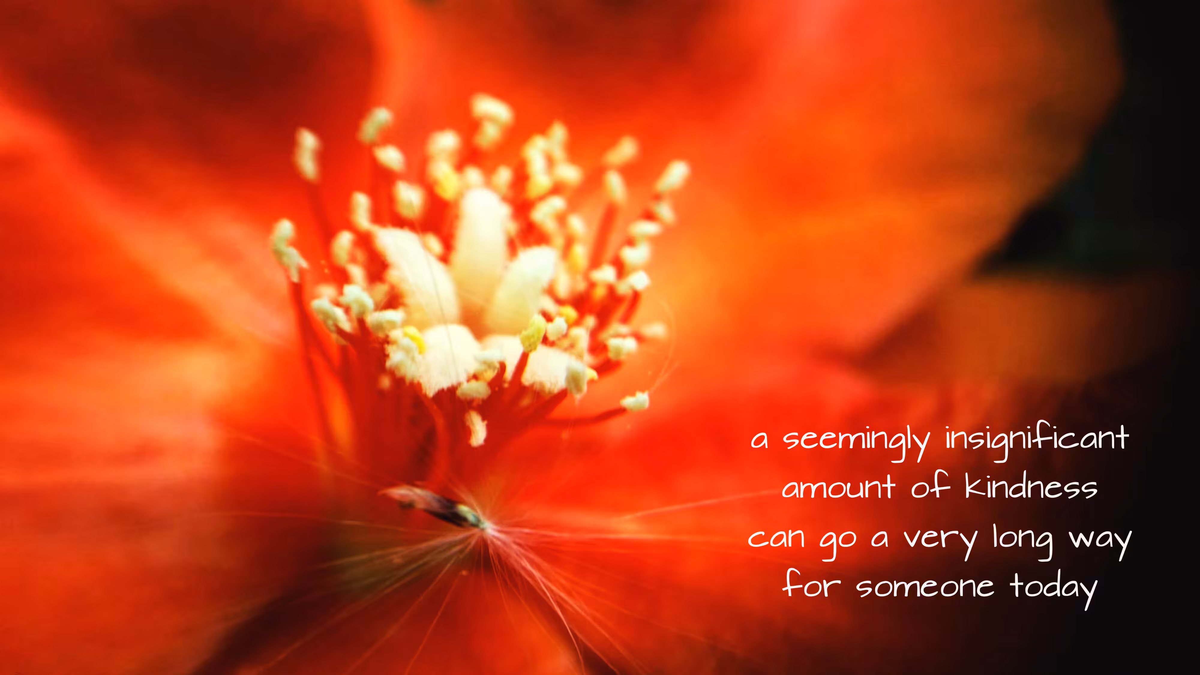 kindness