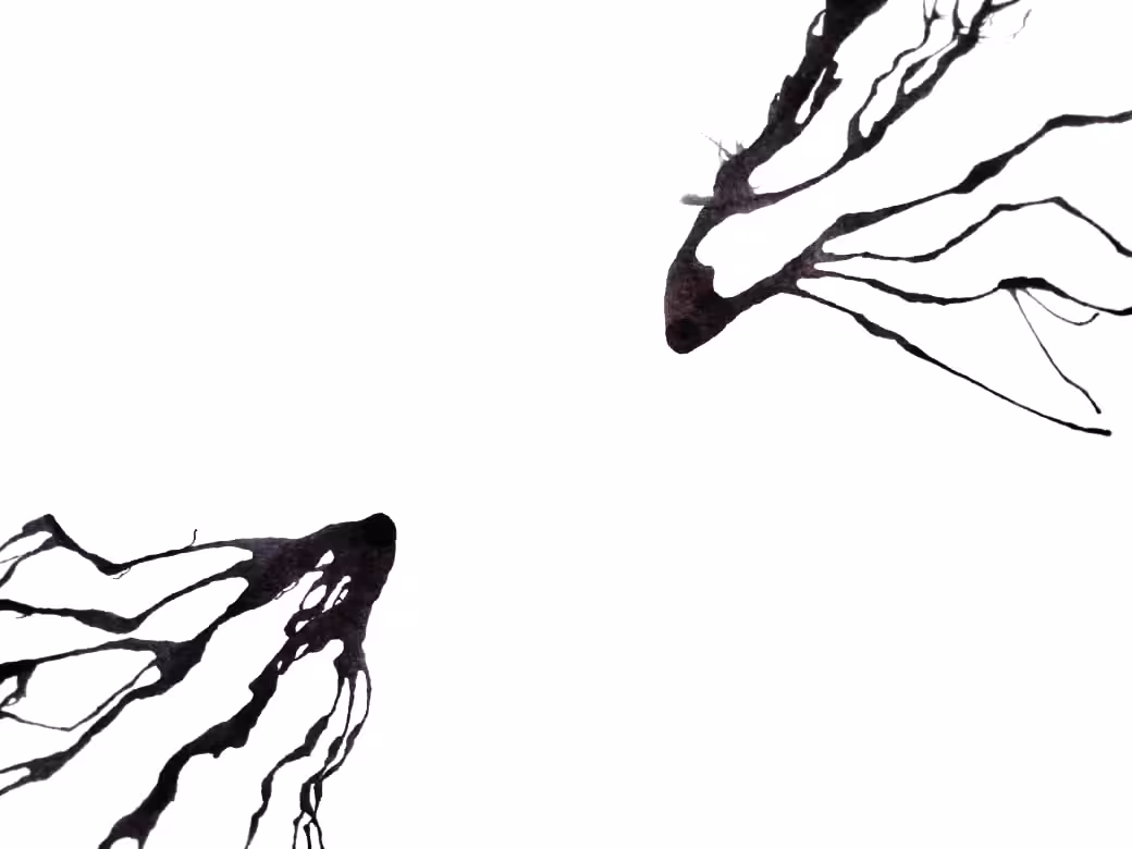 Dark Trails #9