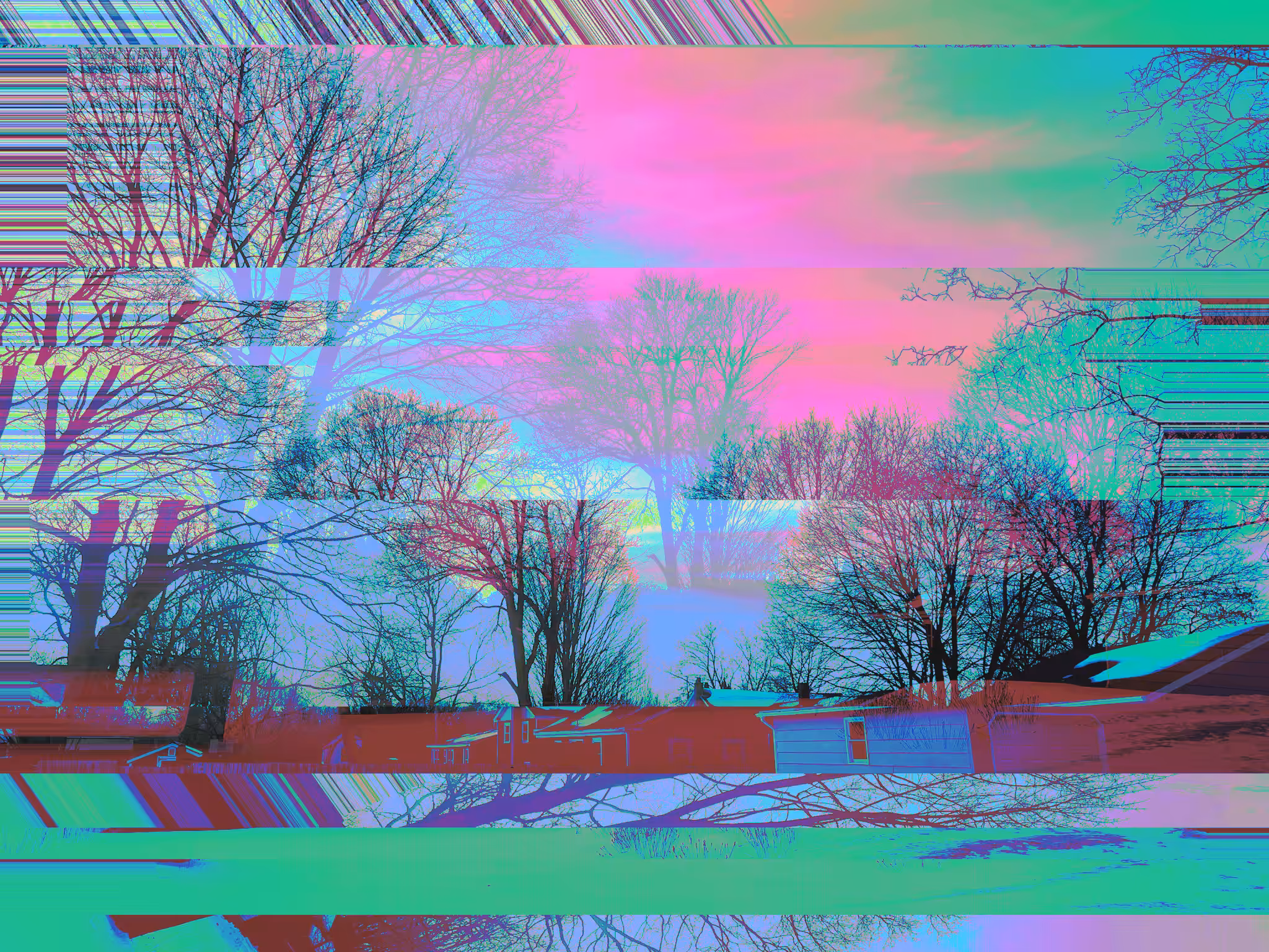 a sunset i did see