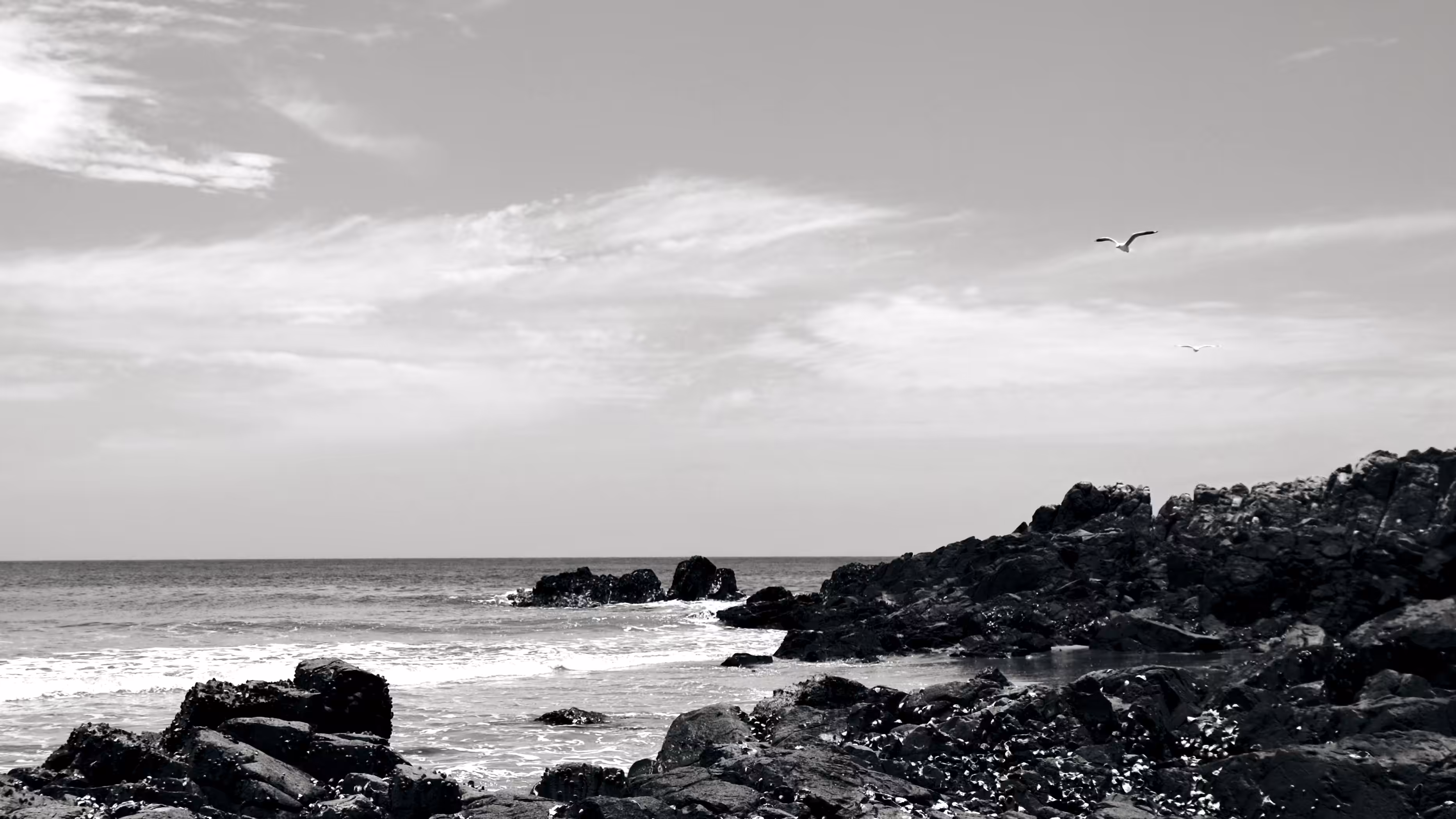 Flight Path
