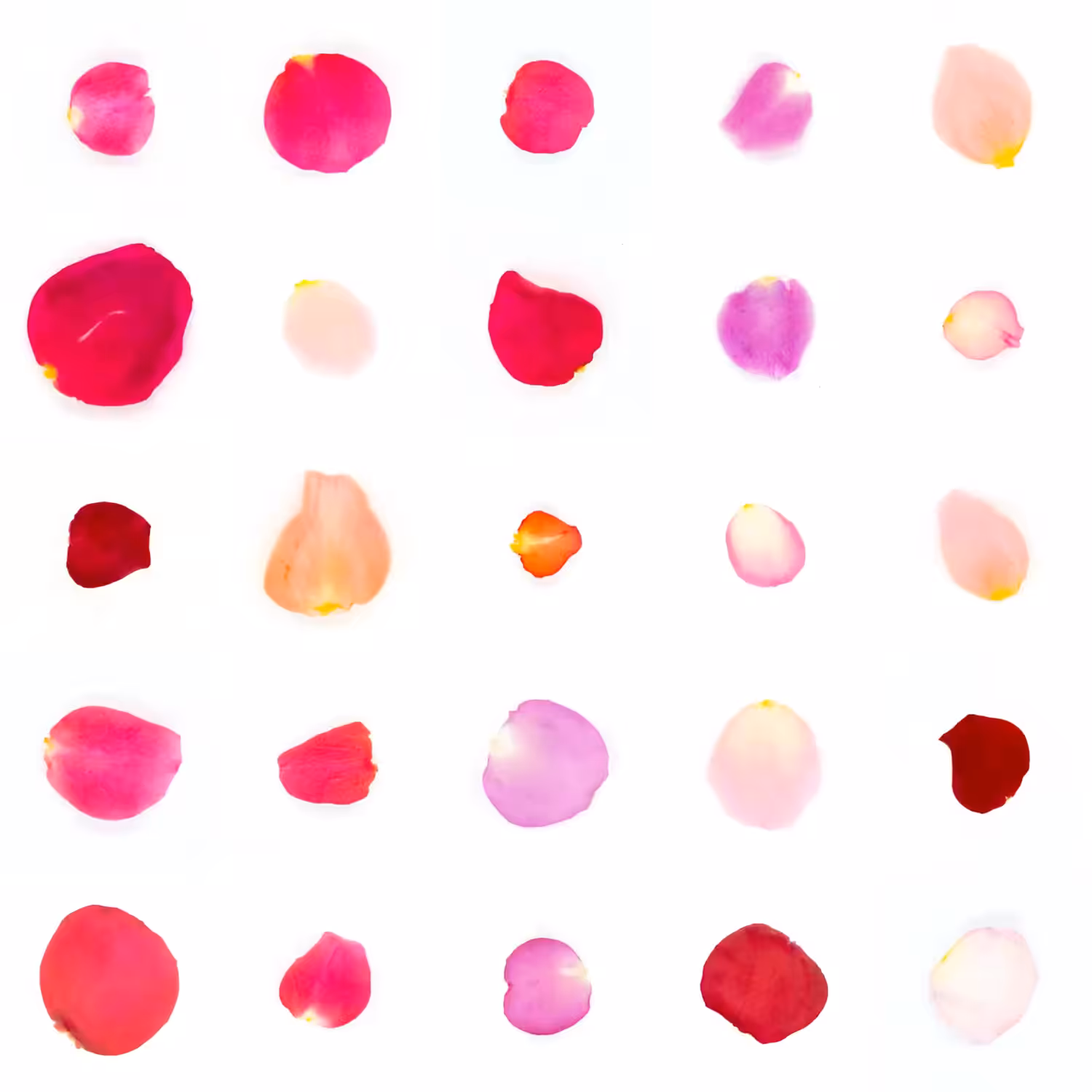Infinite Petals 5x5#1934