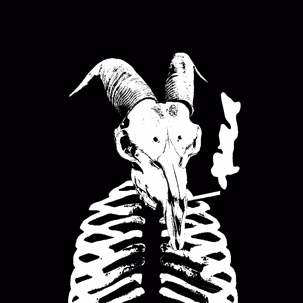 Smoker Goat