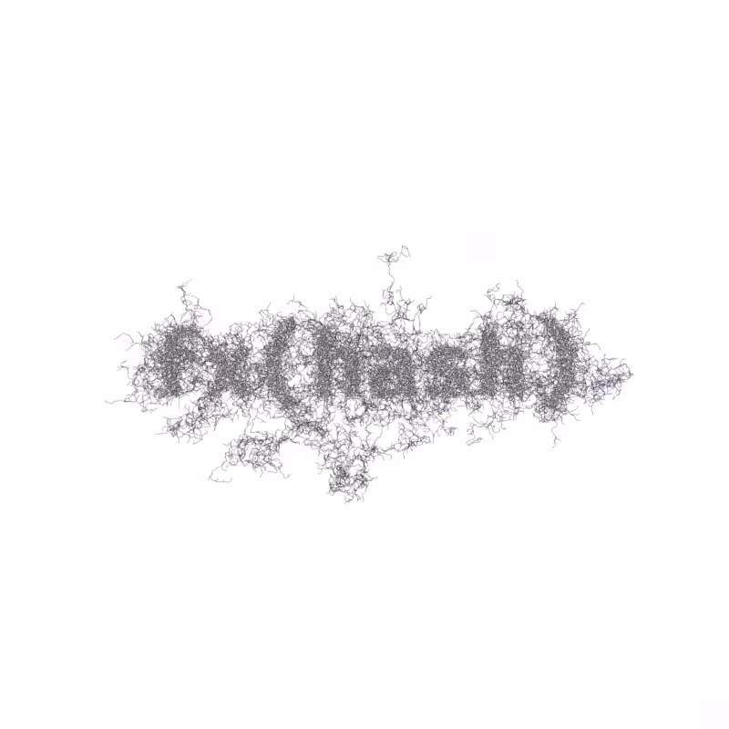 FXHASH Logo with Features #464