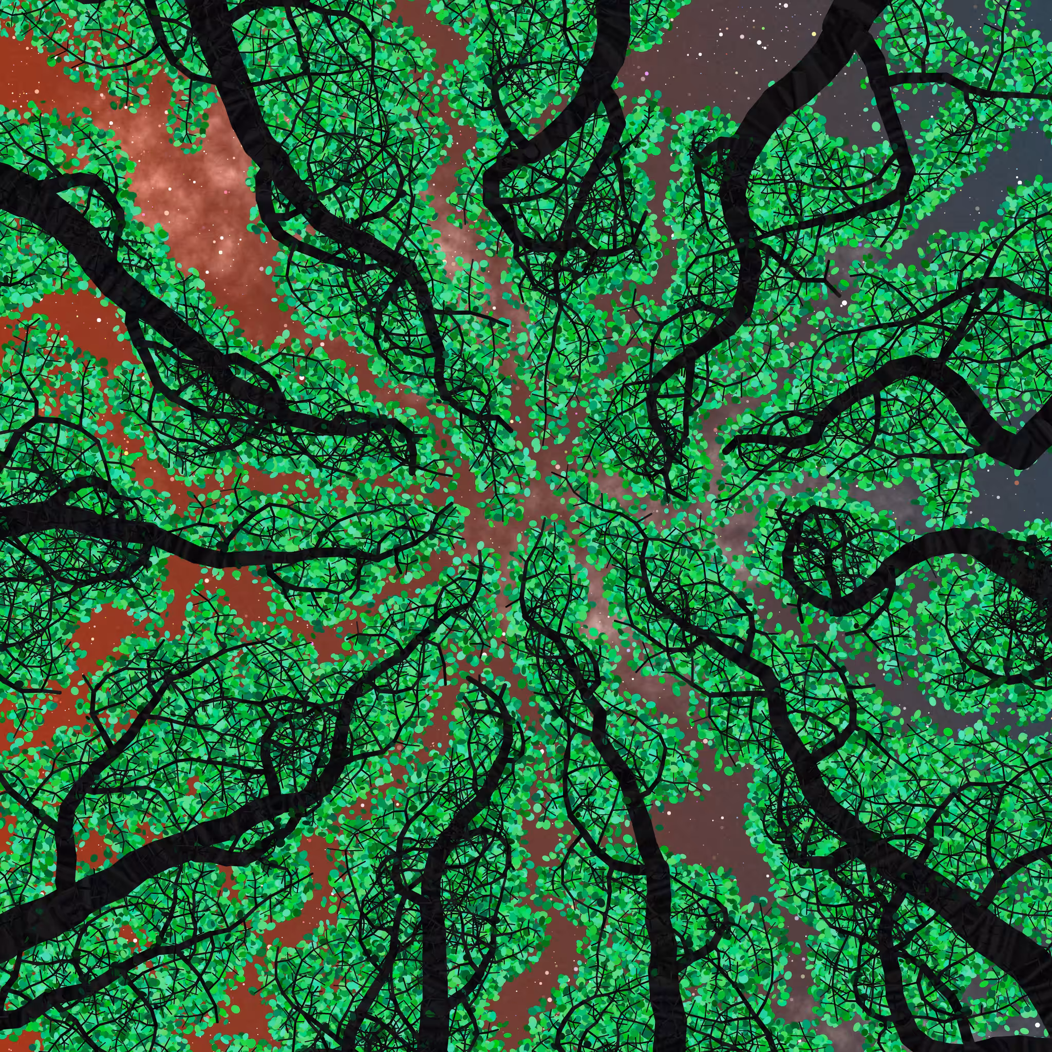 Tree Skyness #195