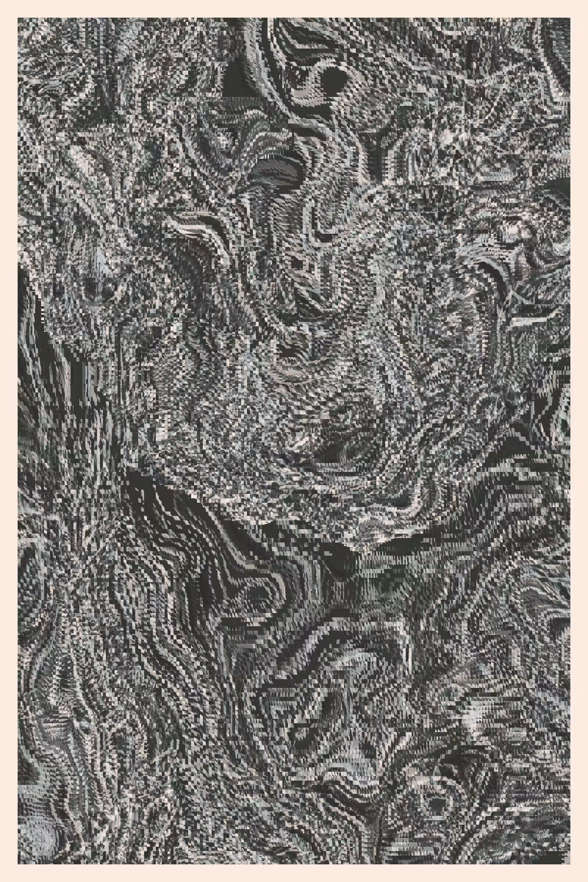 Dislocation #70