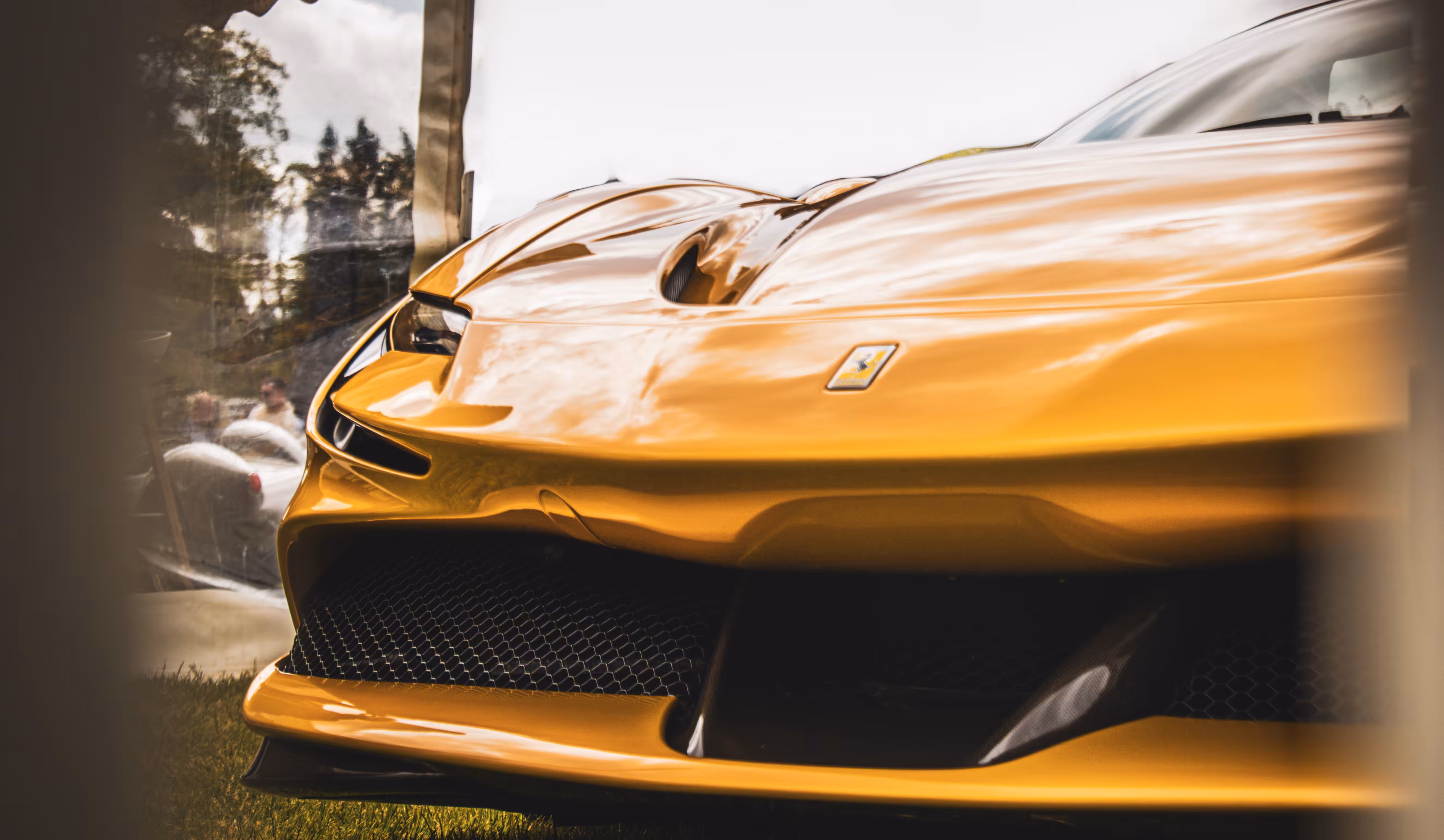 #blametezos - wen ferrari