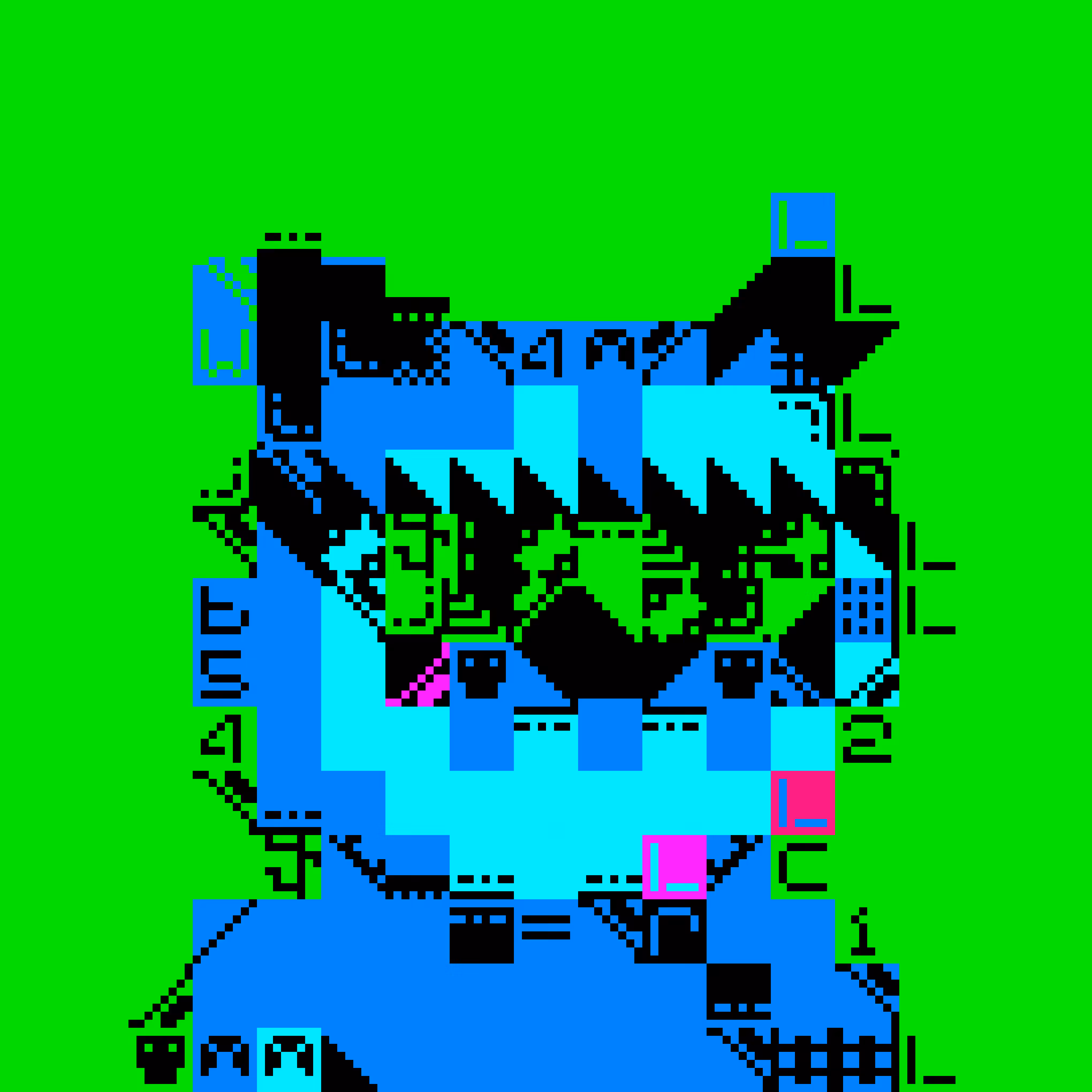 MIGGLES ON ASCII: The ErrorCat