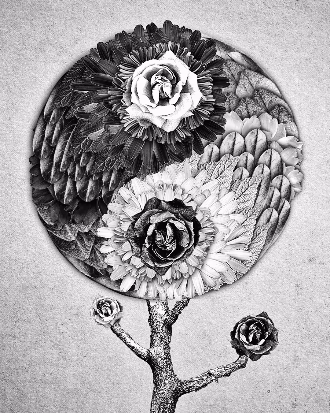 Primary Nature 027 Yin Yang 01