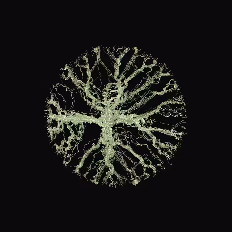 Ginseng #103