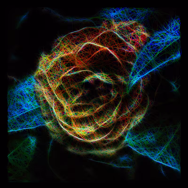 Golden Camellia