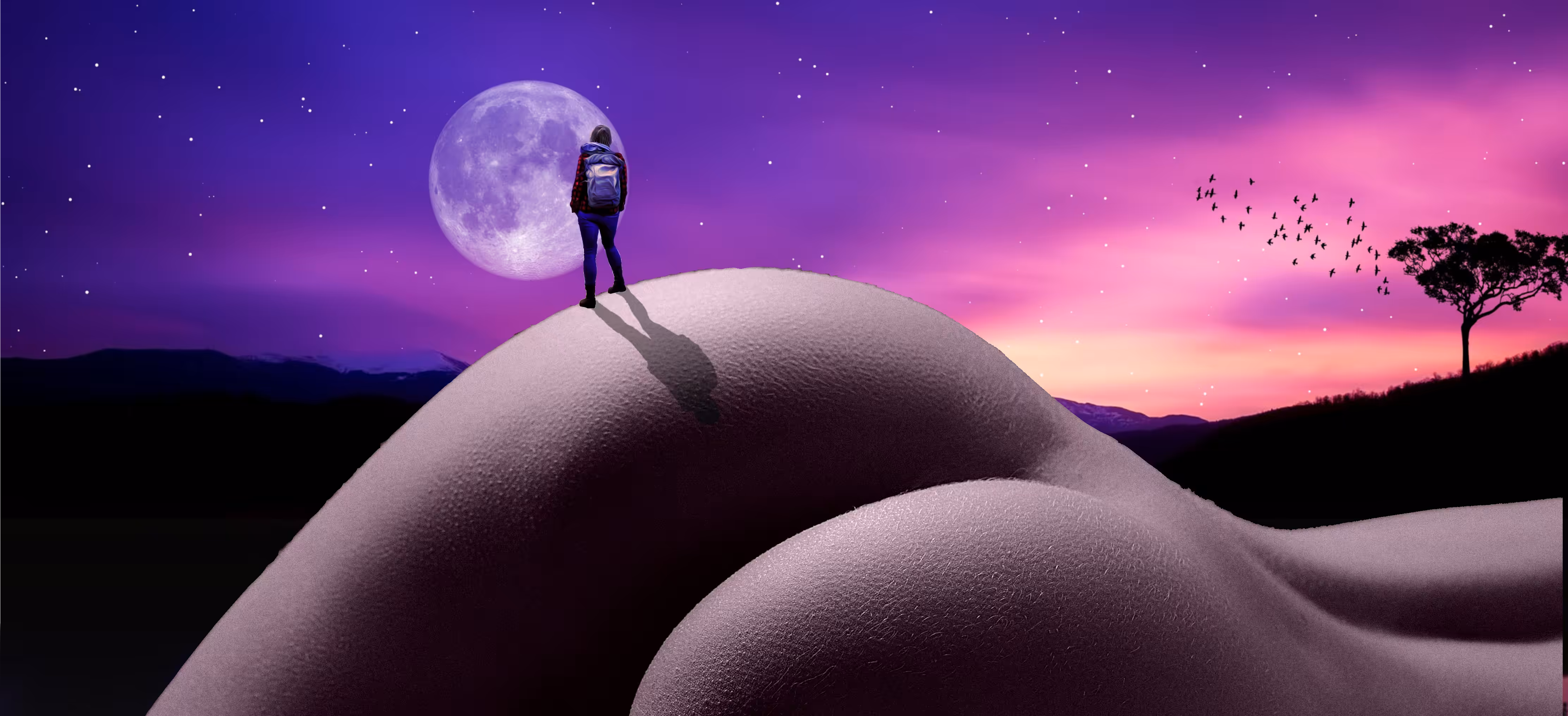 Exploration #2
