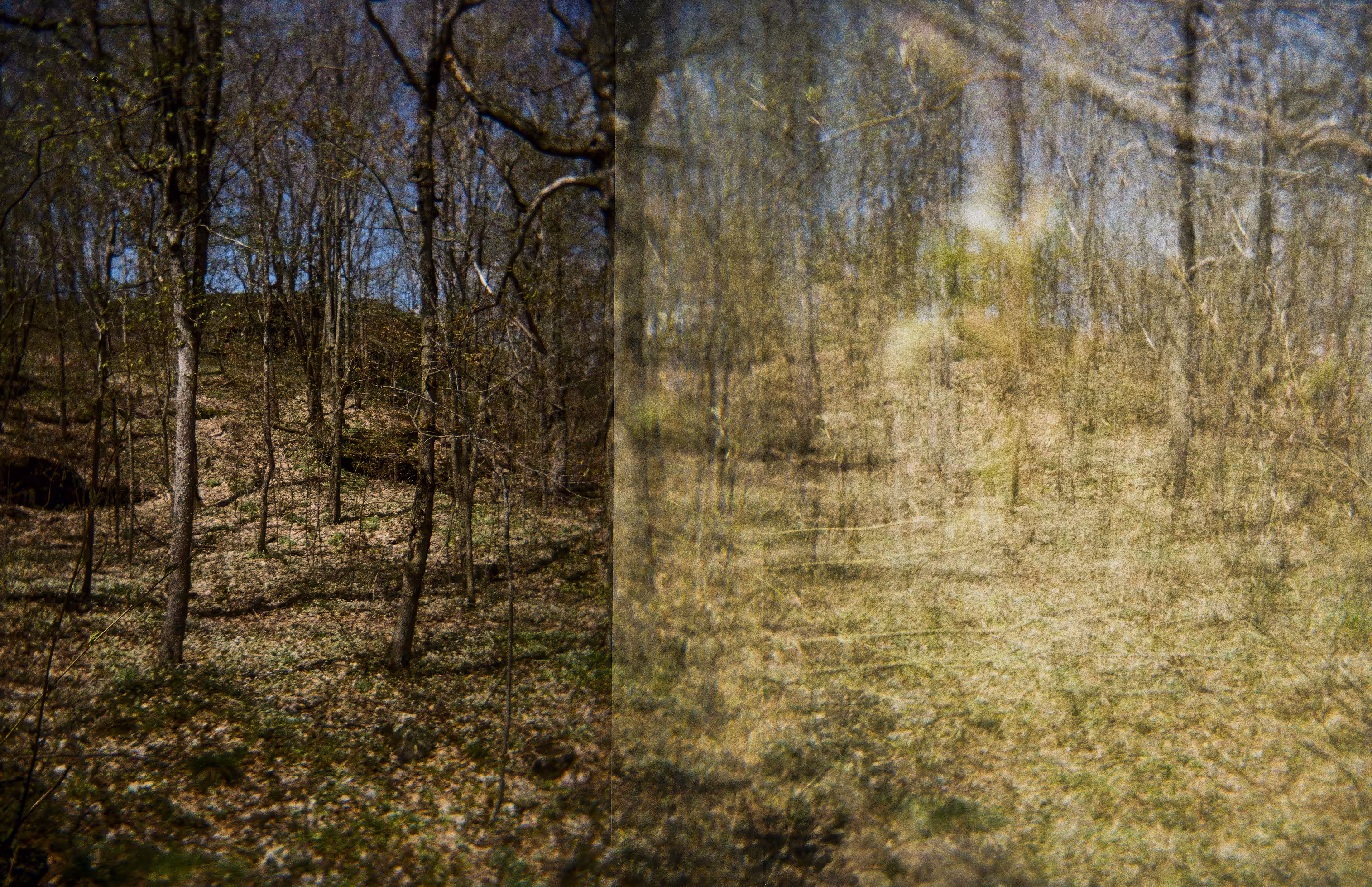 Nature Broken, Nature Healed: Spirito Santo