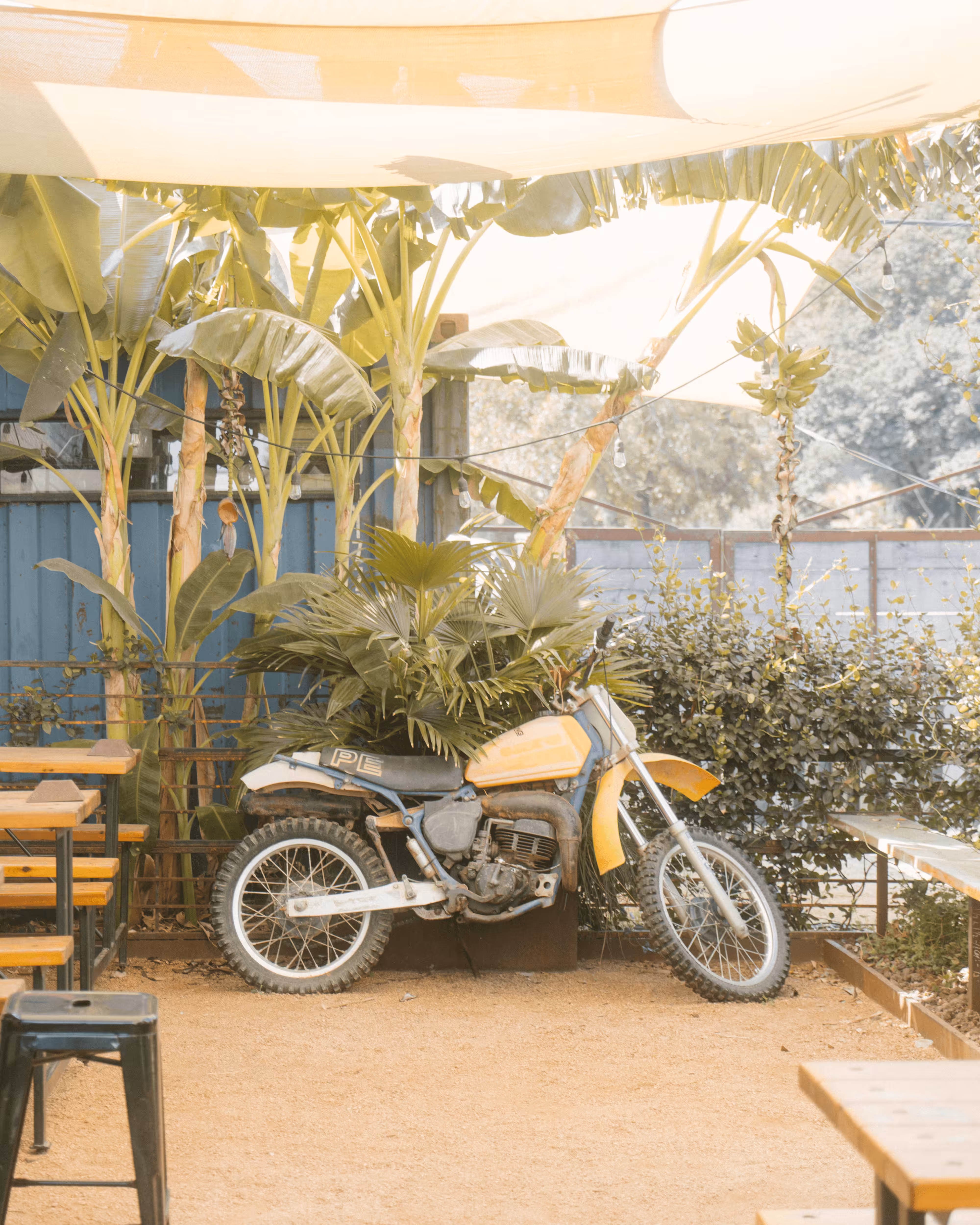 The Bike