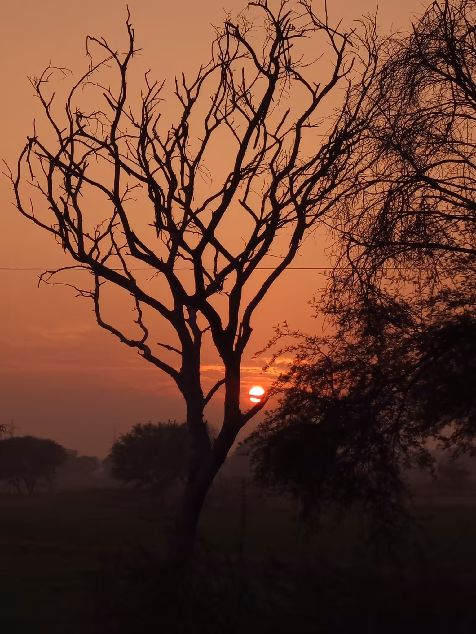 Whispers of Dusk